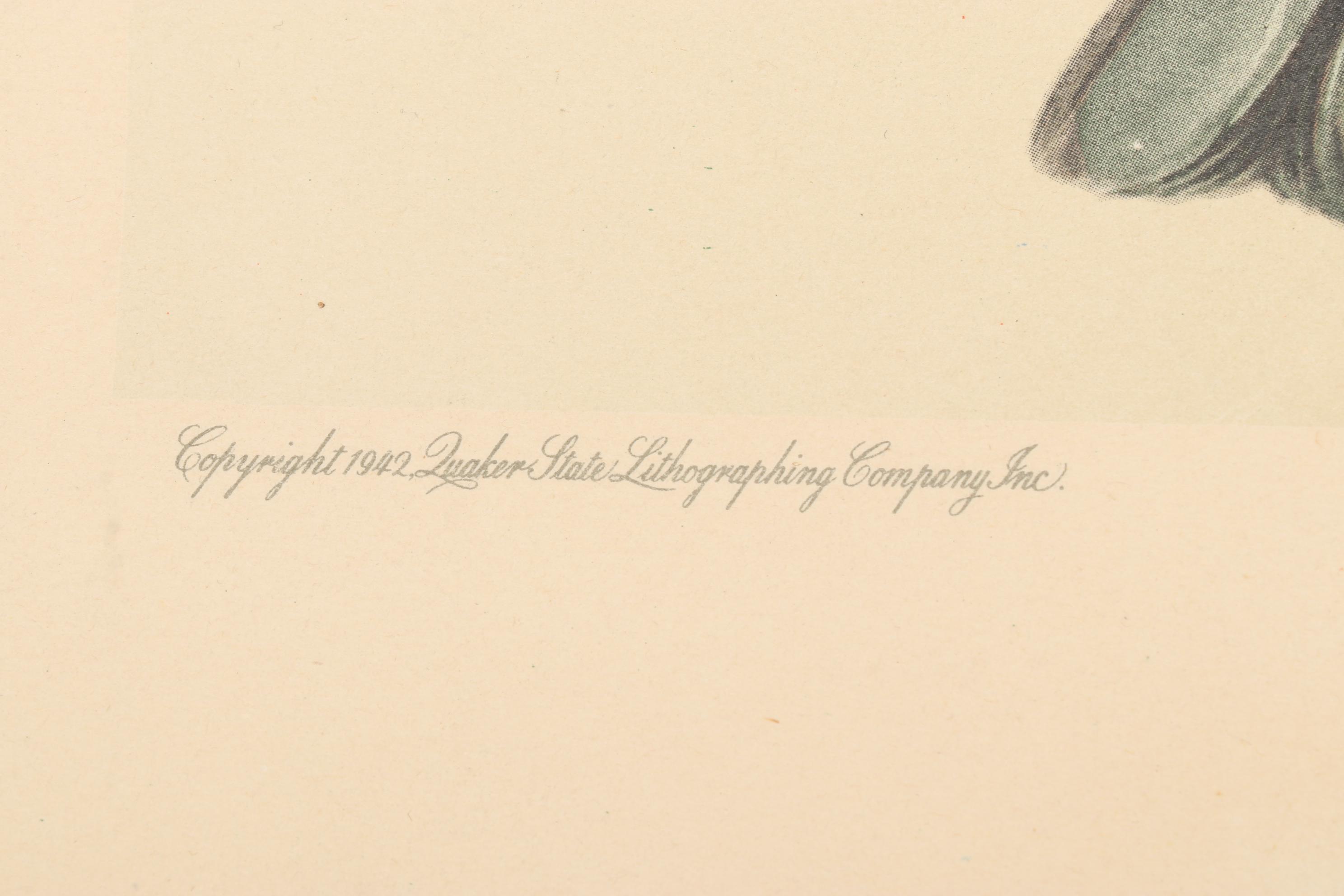 Roger Tory Peterson Ornithological Offset Lithographs Including "Cardinal," 1942