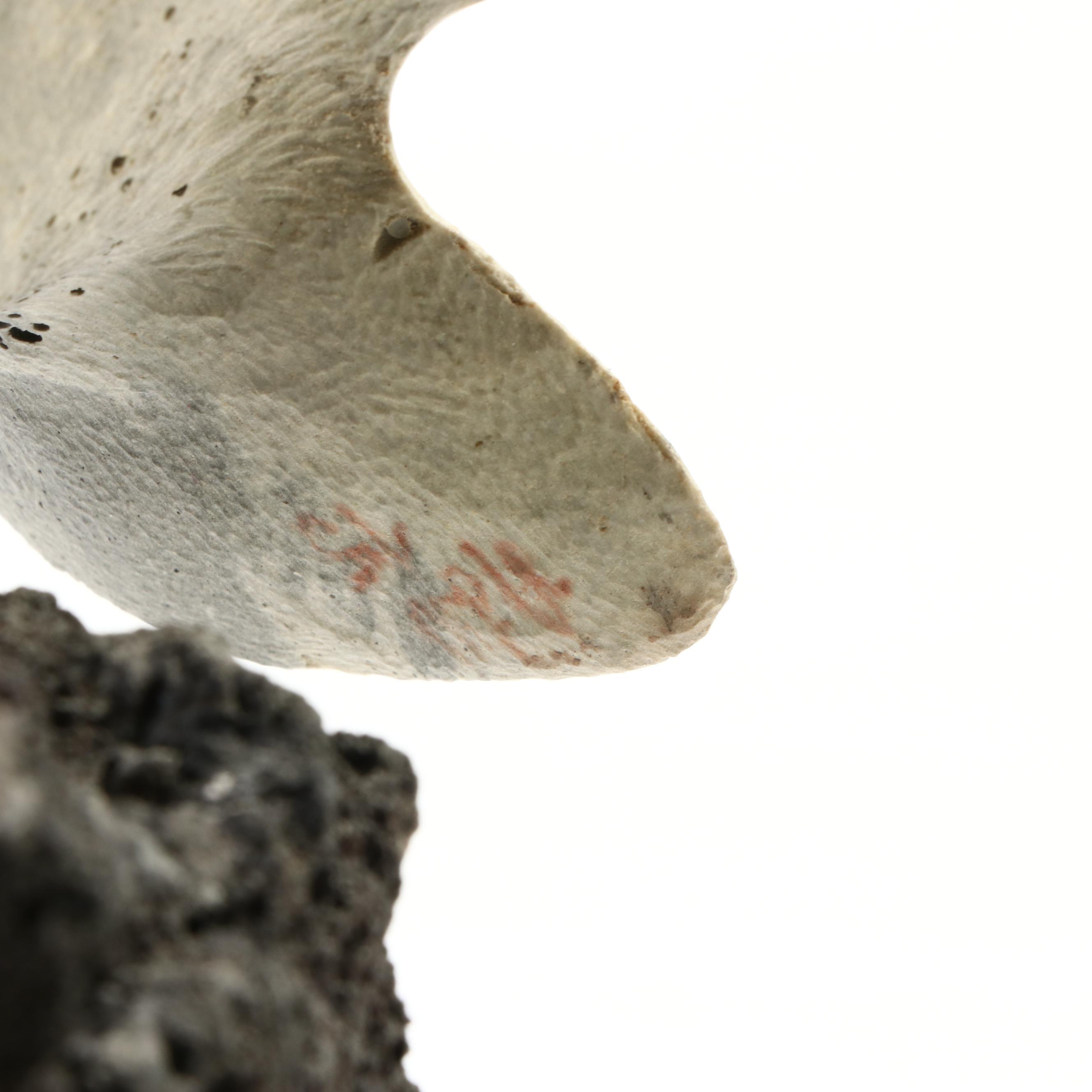 Inuit Carved Fossil Whale Bone Owl on Lava Rock