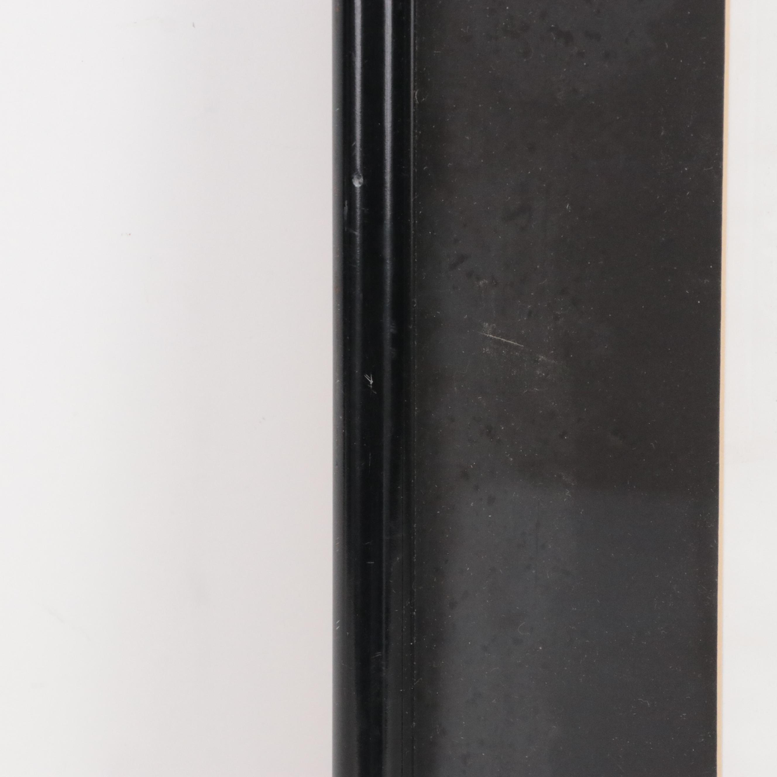 Kazuko Chiyo Sasaki Halftone of Siamese Cat