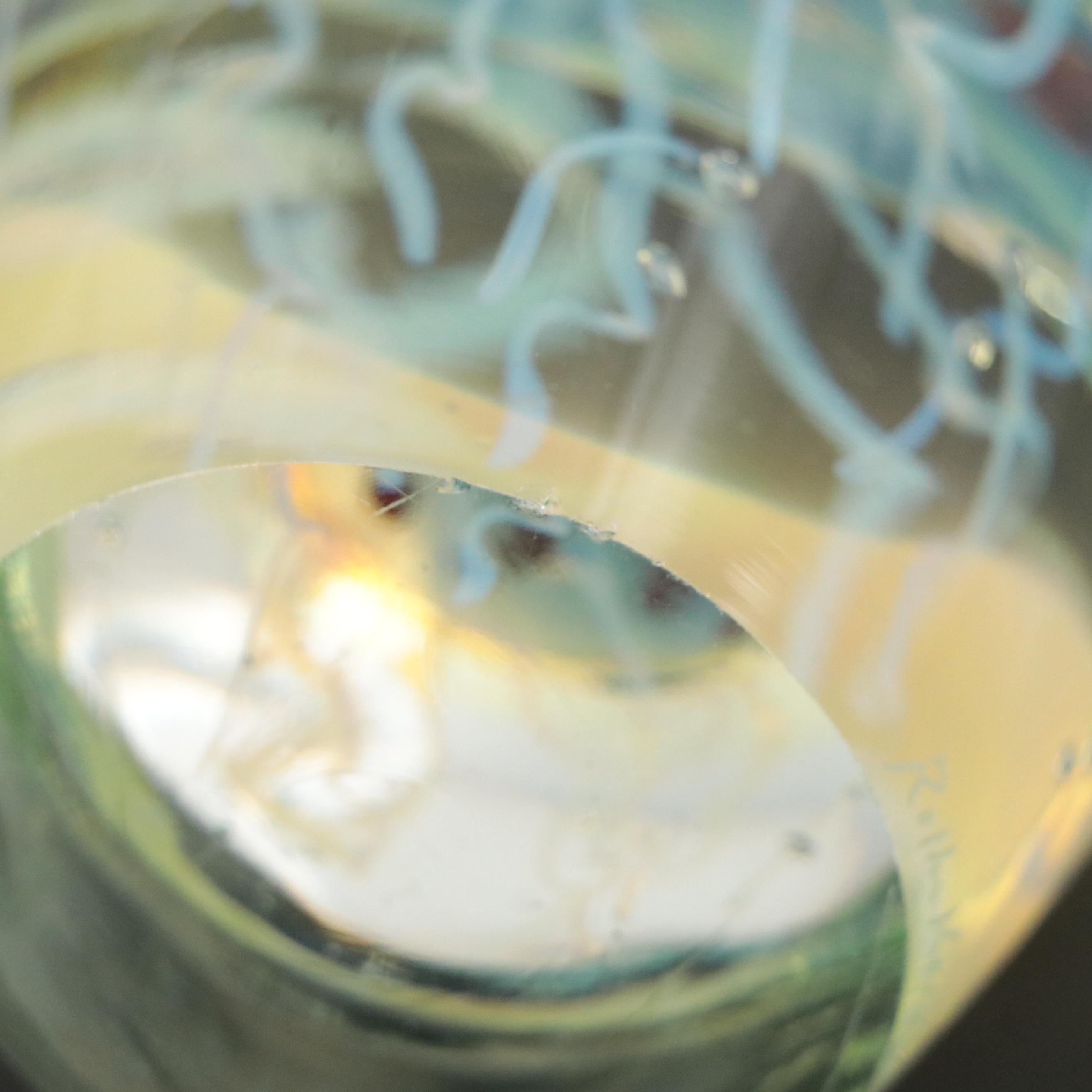 Rollin Karg Handcrafted Opalescent Studio Art Glass Jellyfish Paperweight, 2006