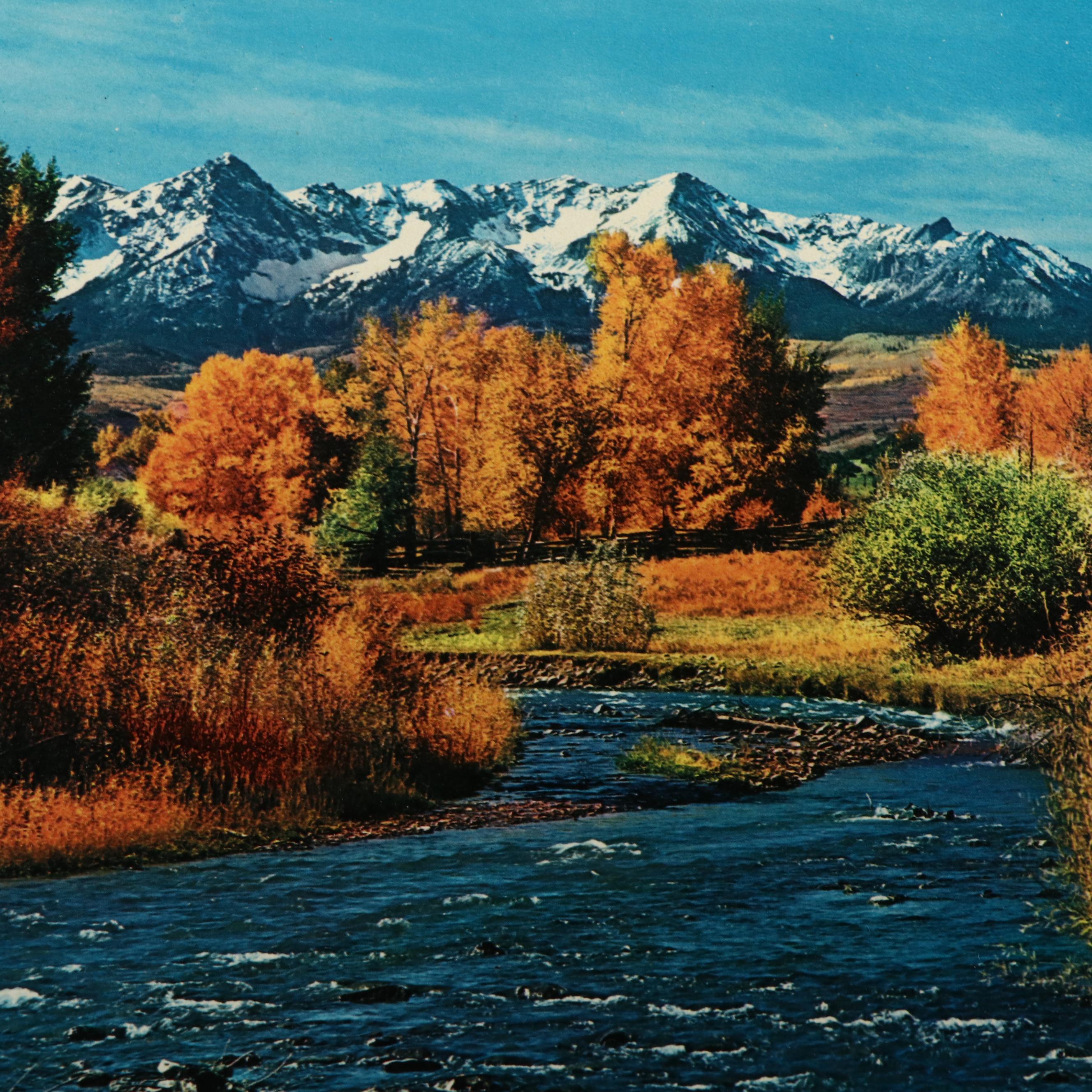 "Grit" Newspaper Lithograph Prints, Public Sale Advertisement and More