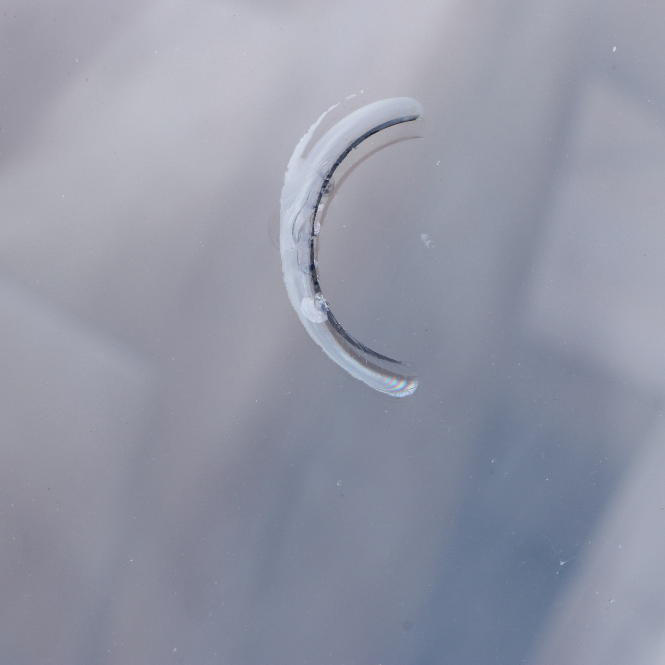 1987 SAAB 900 Turbo Convertible