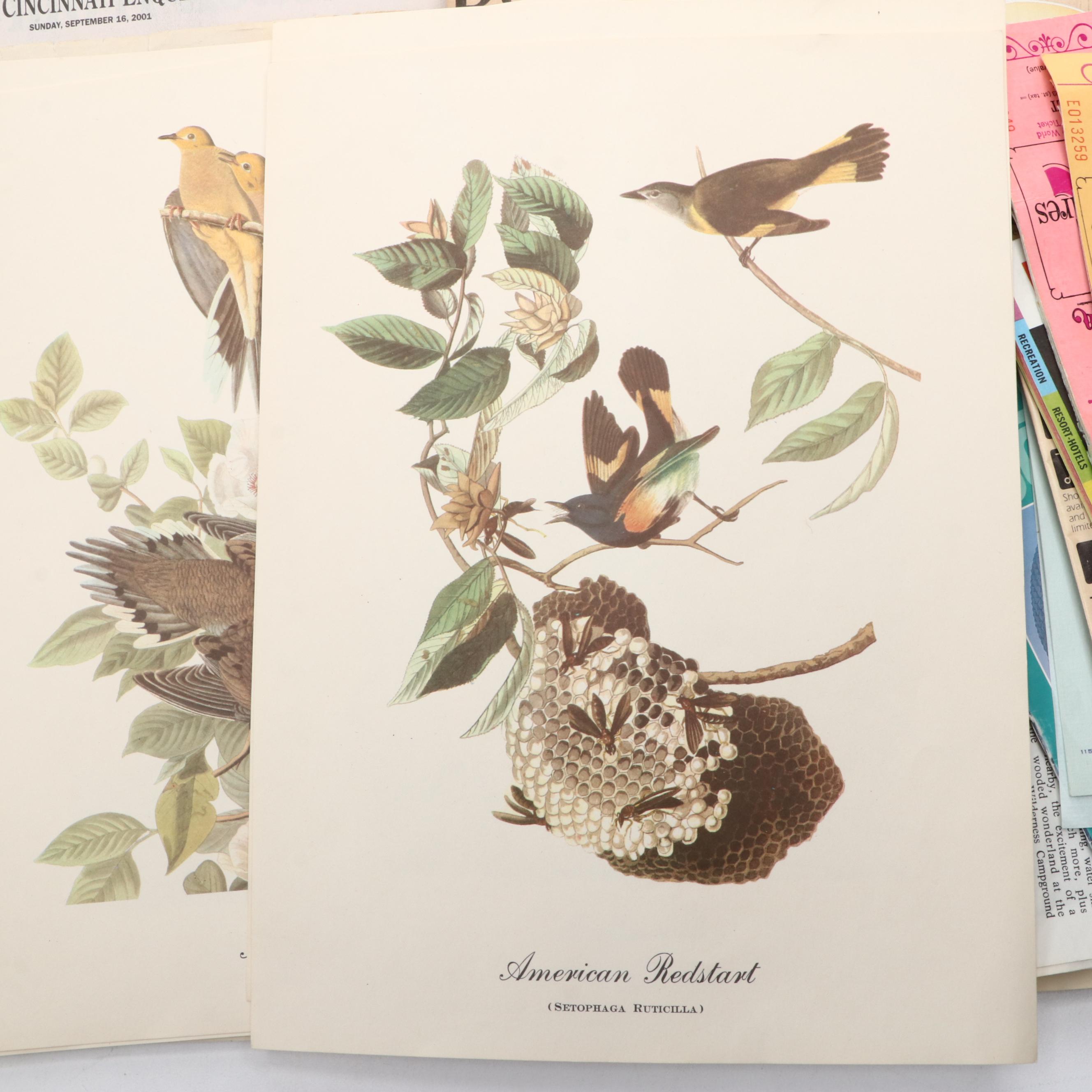 1970s Kings Island Hand-Colored Offset Lithograph Entertainment Map and More