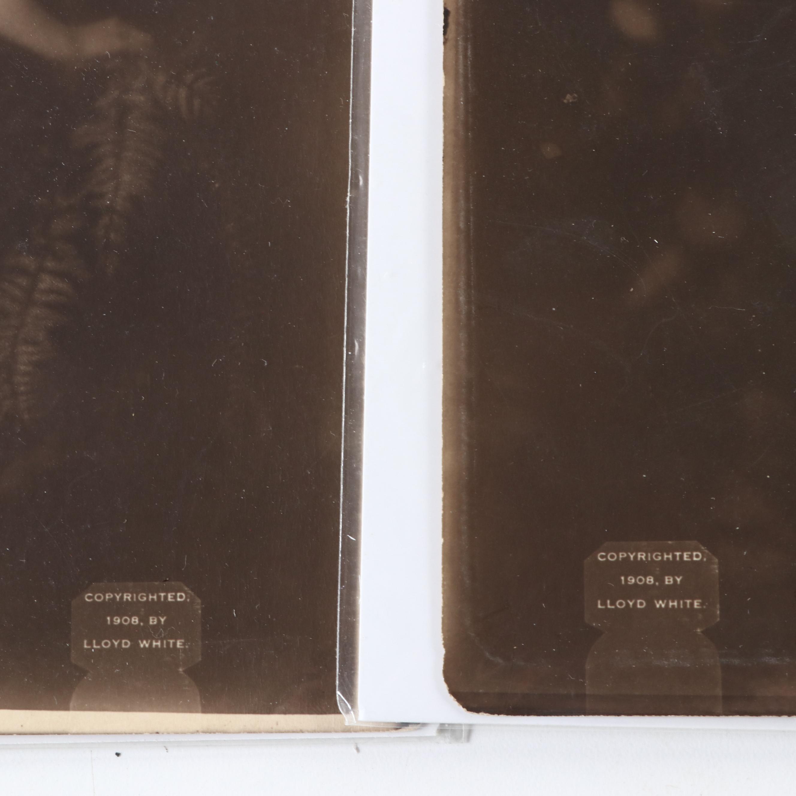 Brown & Bigelow with Other Pin-Up Girl Mutoscope Cards and Other Prints