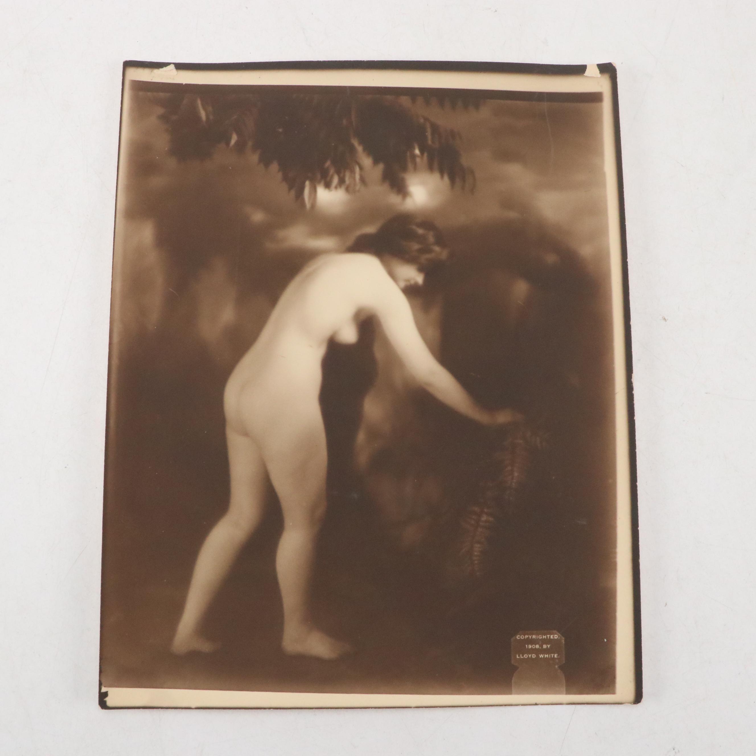 Brown & Bigelow with Other Pin-Up Girl and Burlesque Cards and Prints