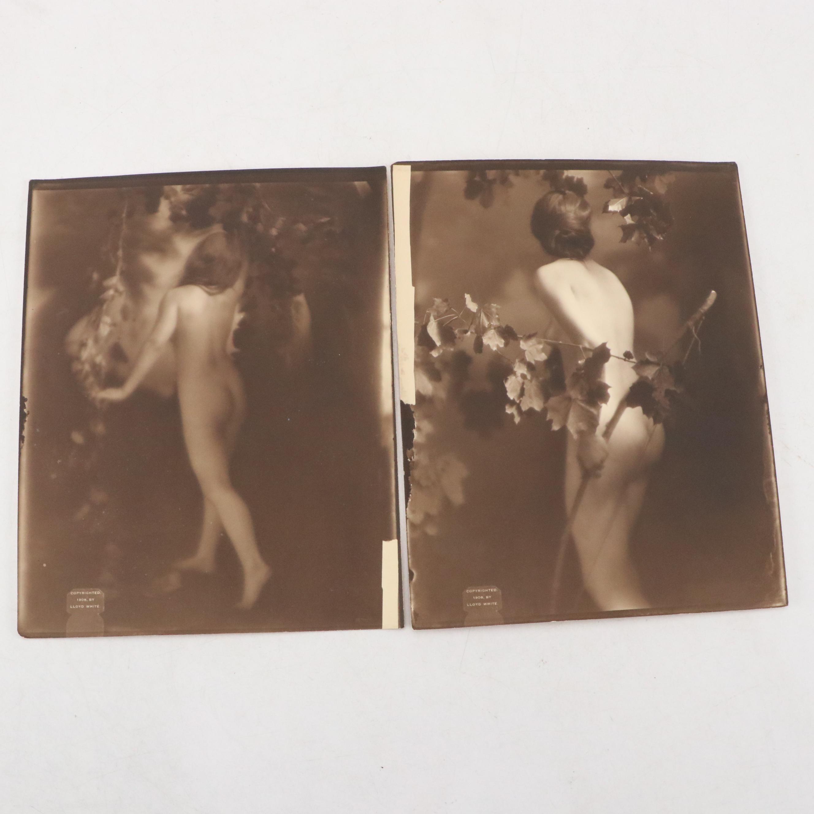 Brown & Bigelow with Other Pin-Up Girl and Burlesque Cards and Prints