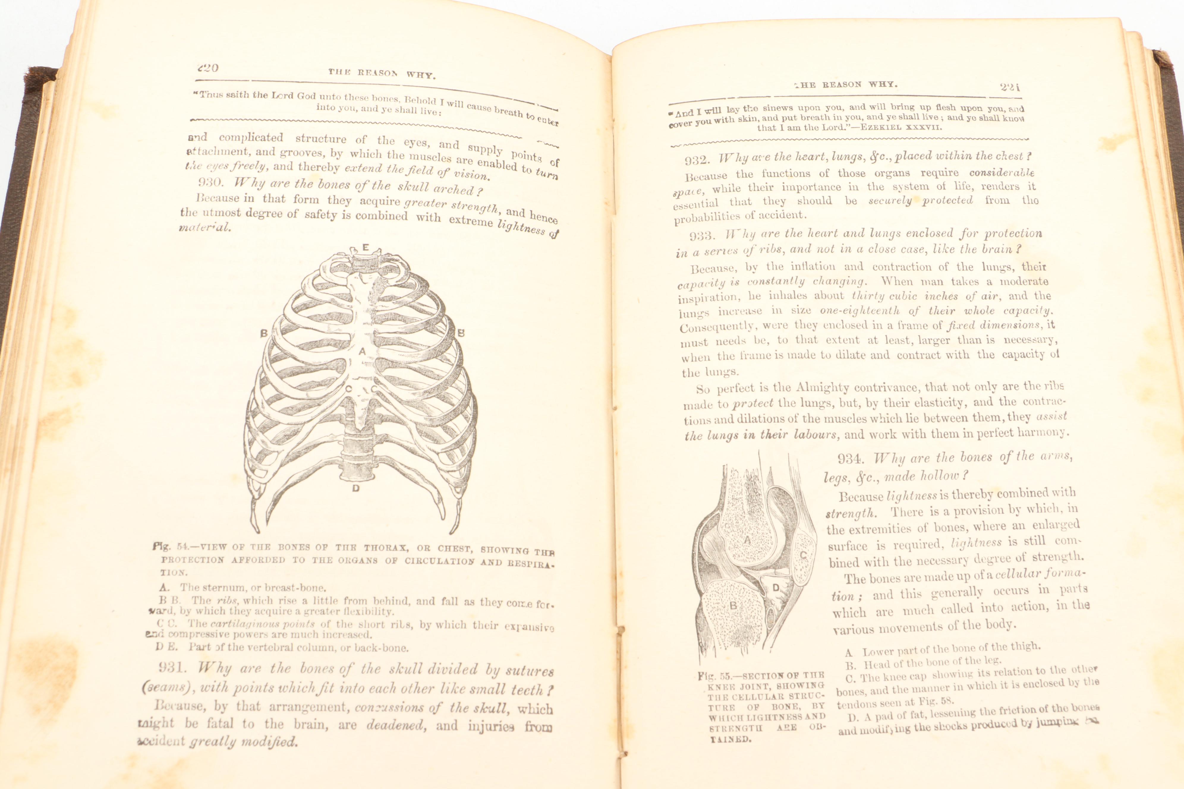 "The History of the San Francisco Disaster" by Charles Eugene Banks and More
