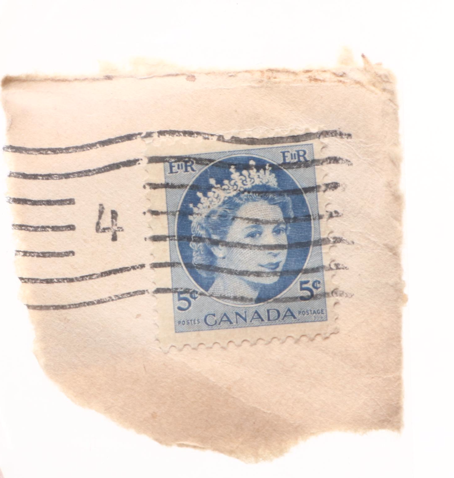 Queen Elizabeth II Memorabilia with Equestrian Decor