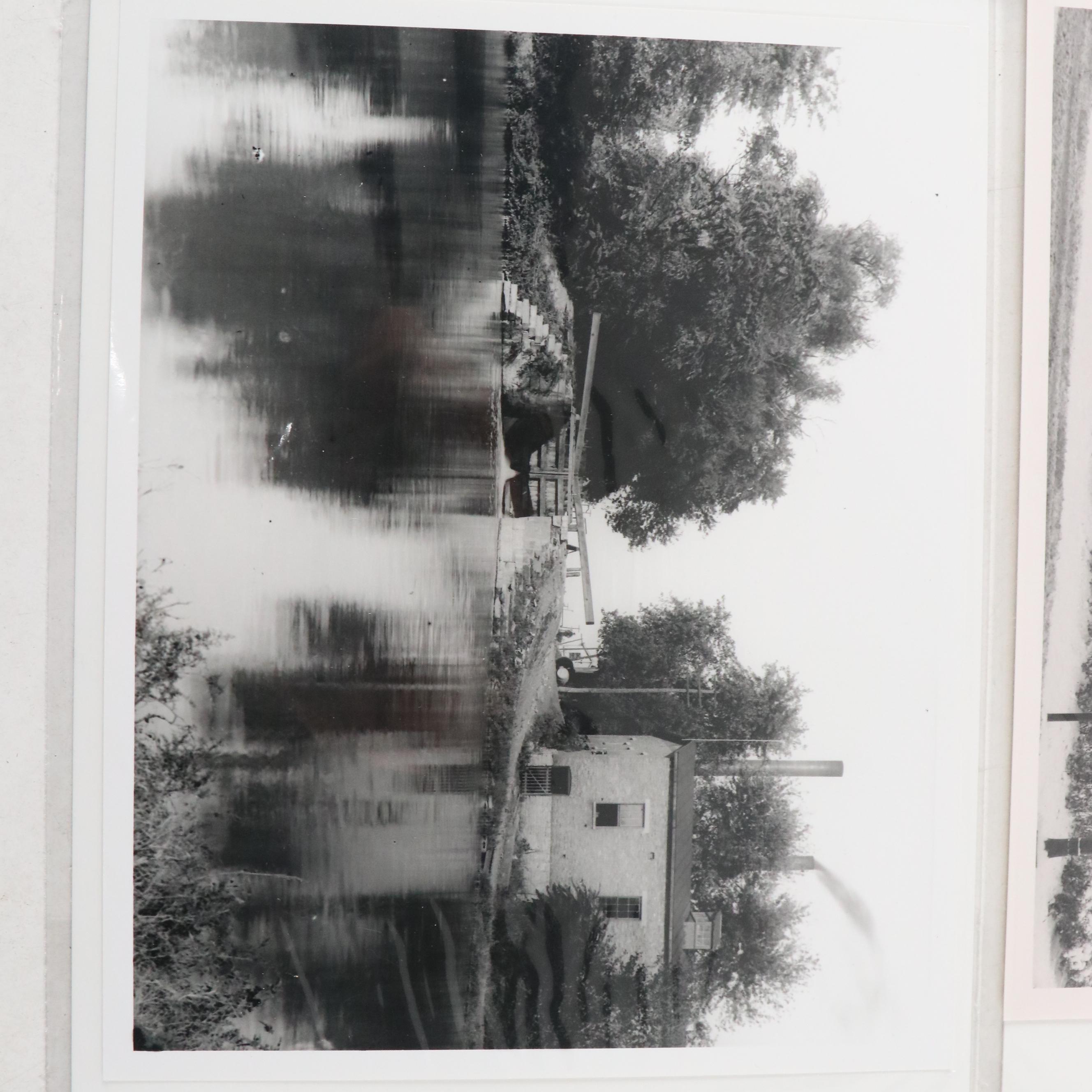 Photograph Prints of Jabez Elliot Flower Market, Entrance to Eden Park and More