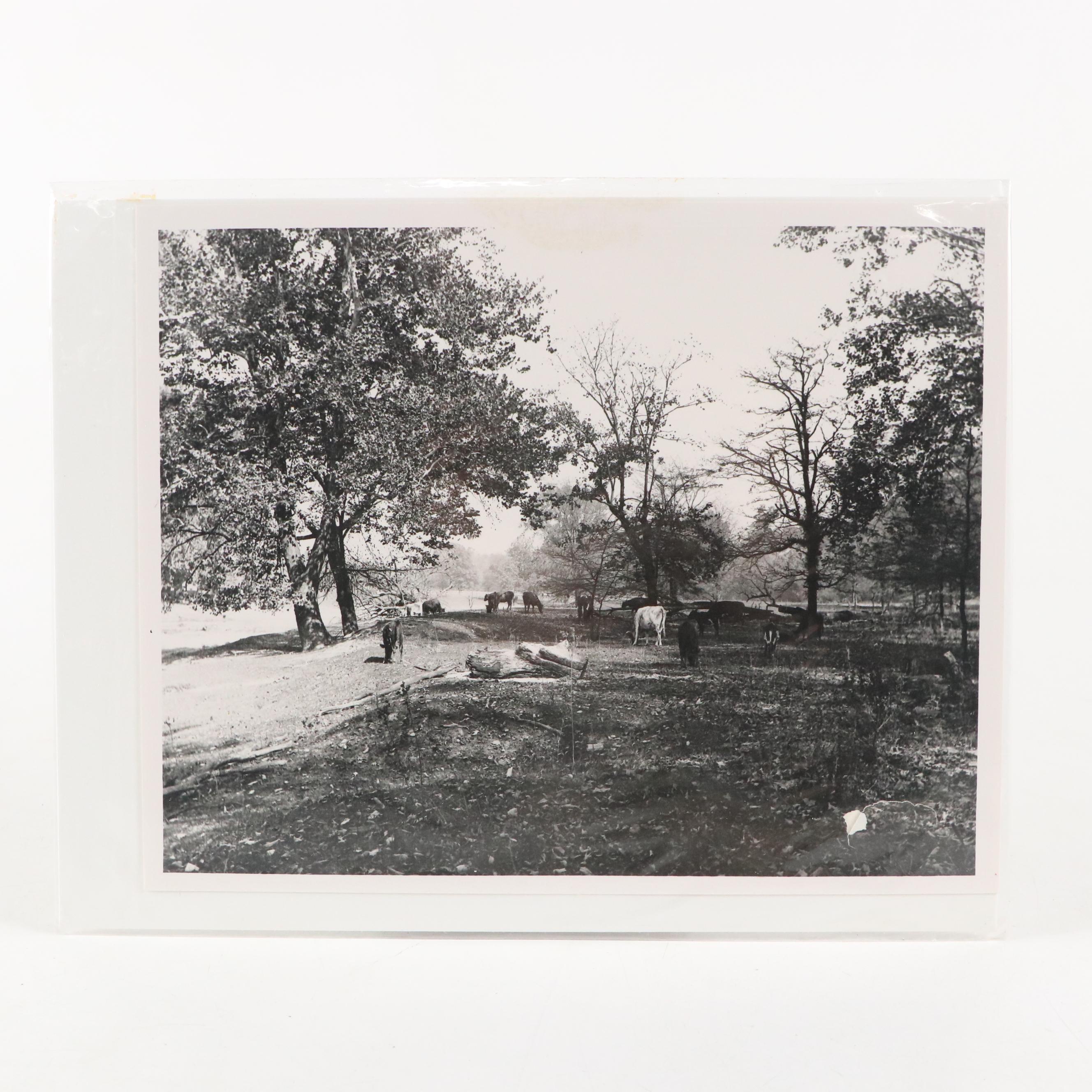 Photo Prints of Union Terminal, Ivorydale Facility, Court Street Market and More