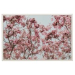 Floral Giclée of Cherry Blossom Trees, 21st Century