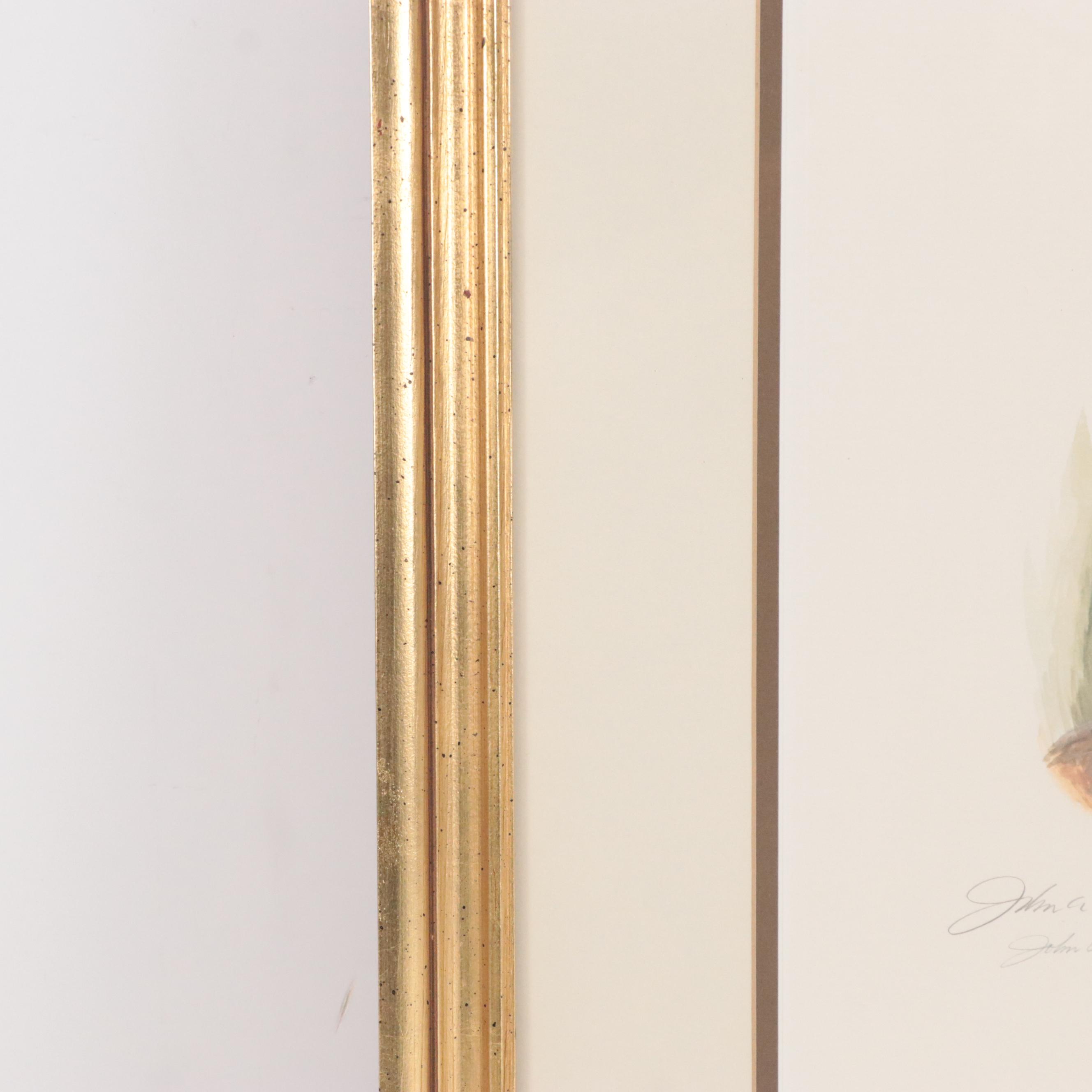 John Ruthven Offset Lithograph "Miami Indian II"