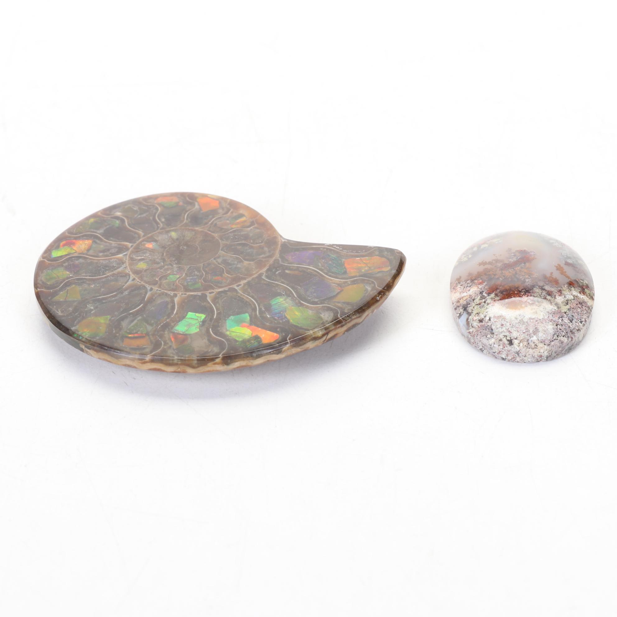 Hobbyist Hand Designed and Crafted Keepsake Box and Rock Specimen Collection