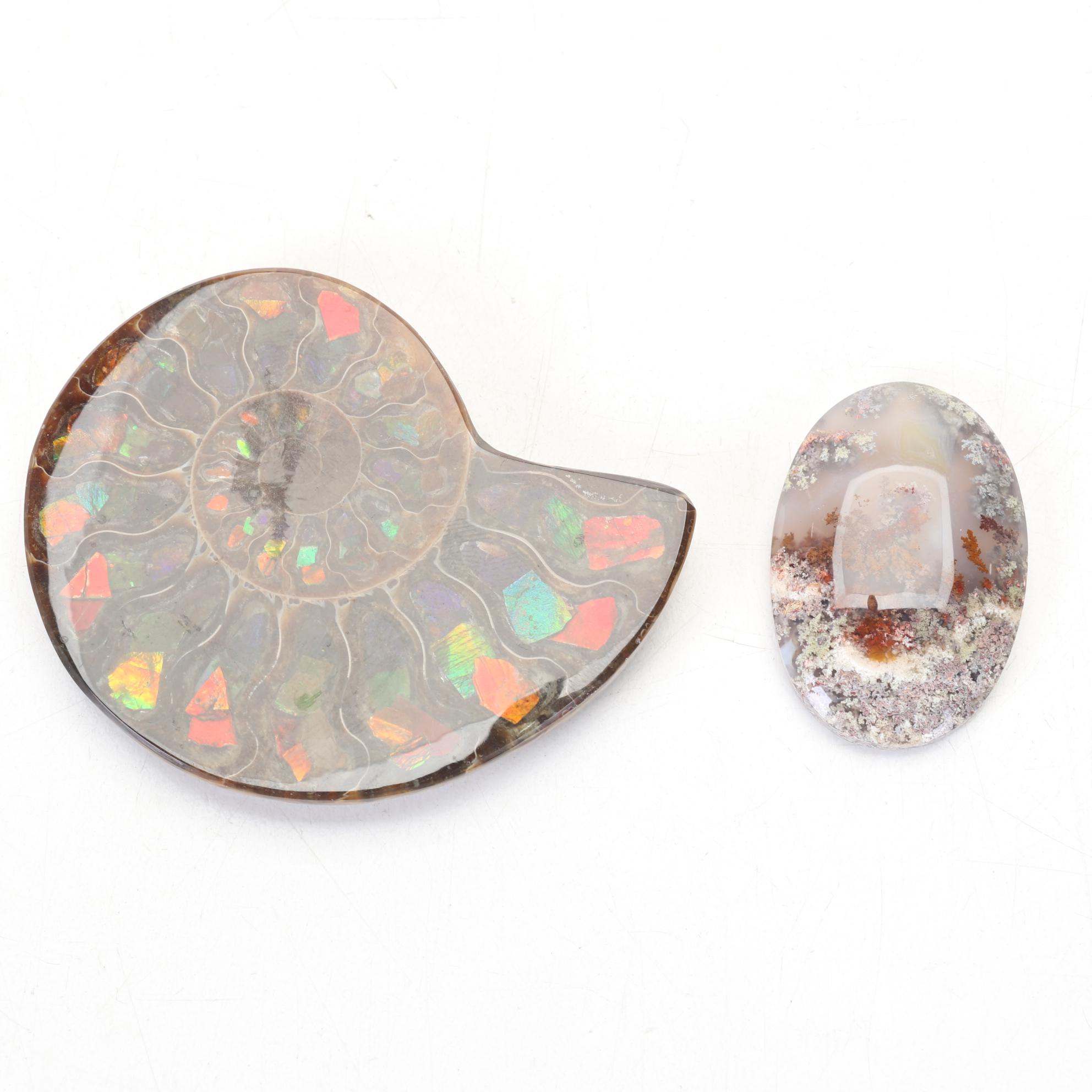 Hobbyist Hand Designed and Crafted Keepsake Box and Rock Specimen Collection