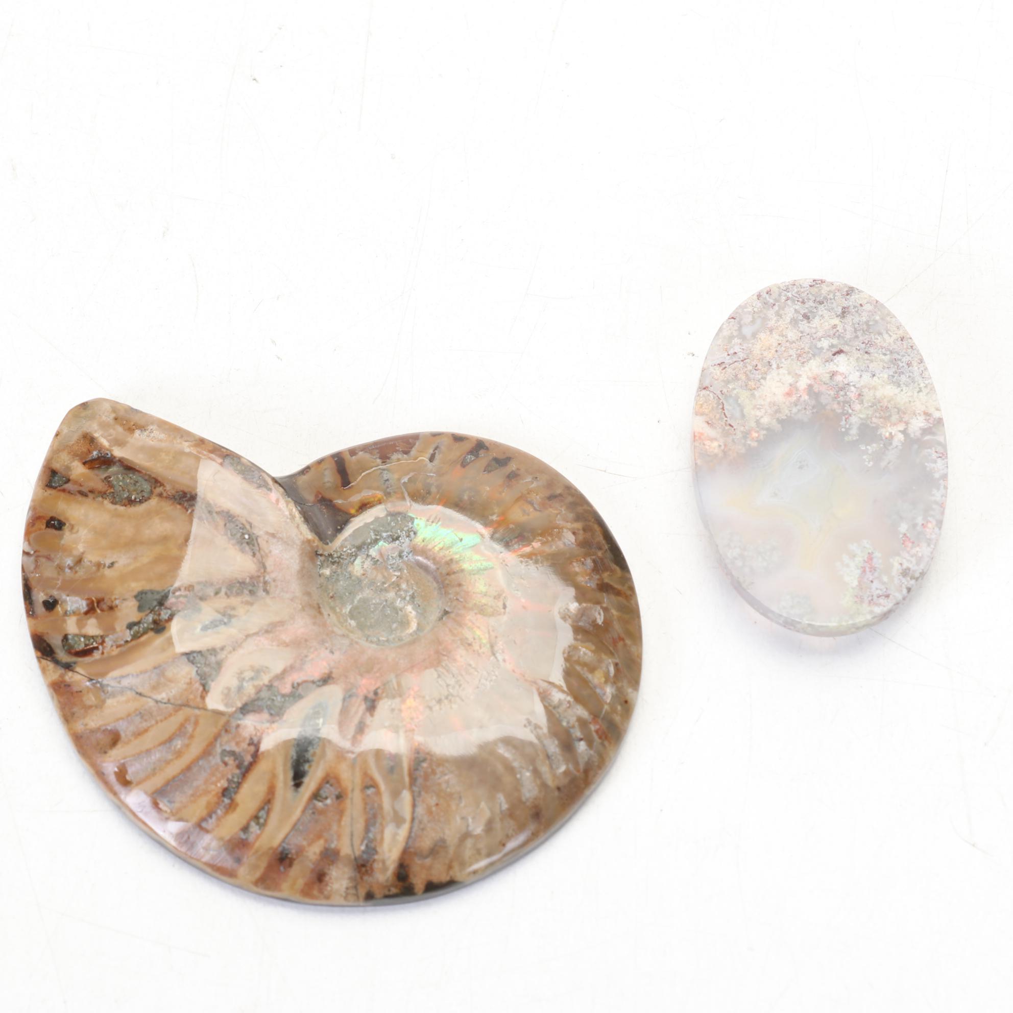 Hobbyist Hand Designed and Crafted Keepsake Box and Rock Specimen Collection