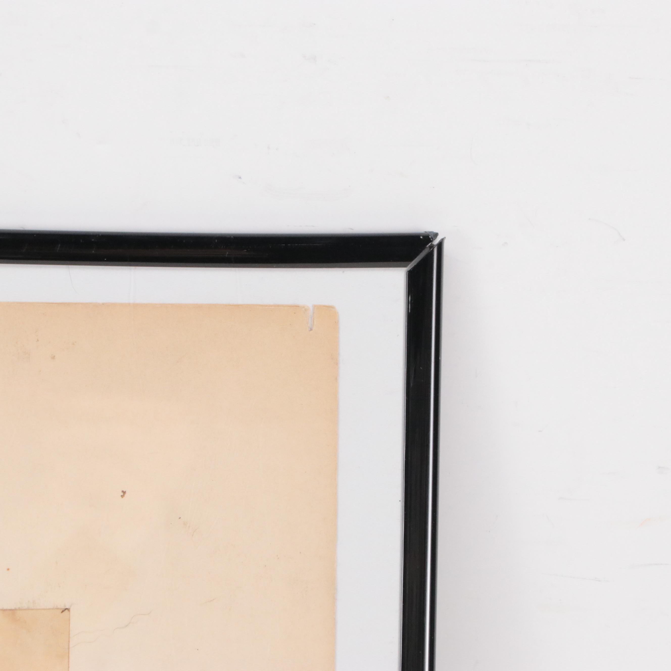 William Goodall Conchological Studies in Ink and Watercolor, Circa 1815