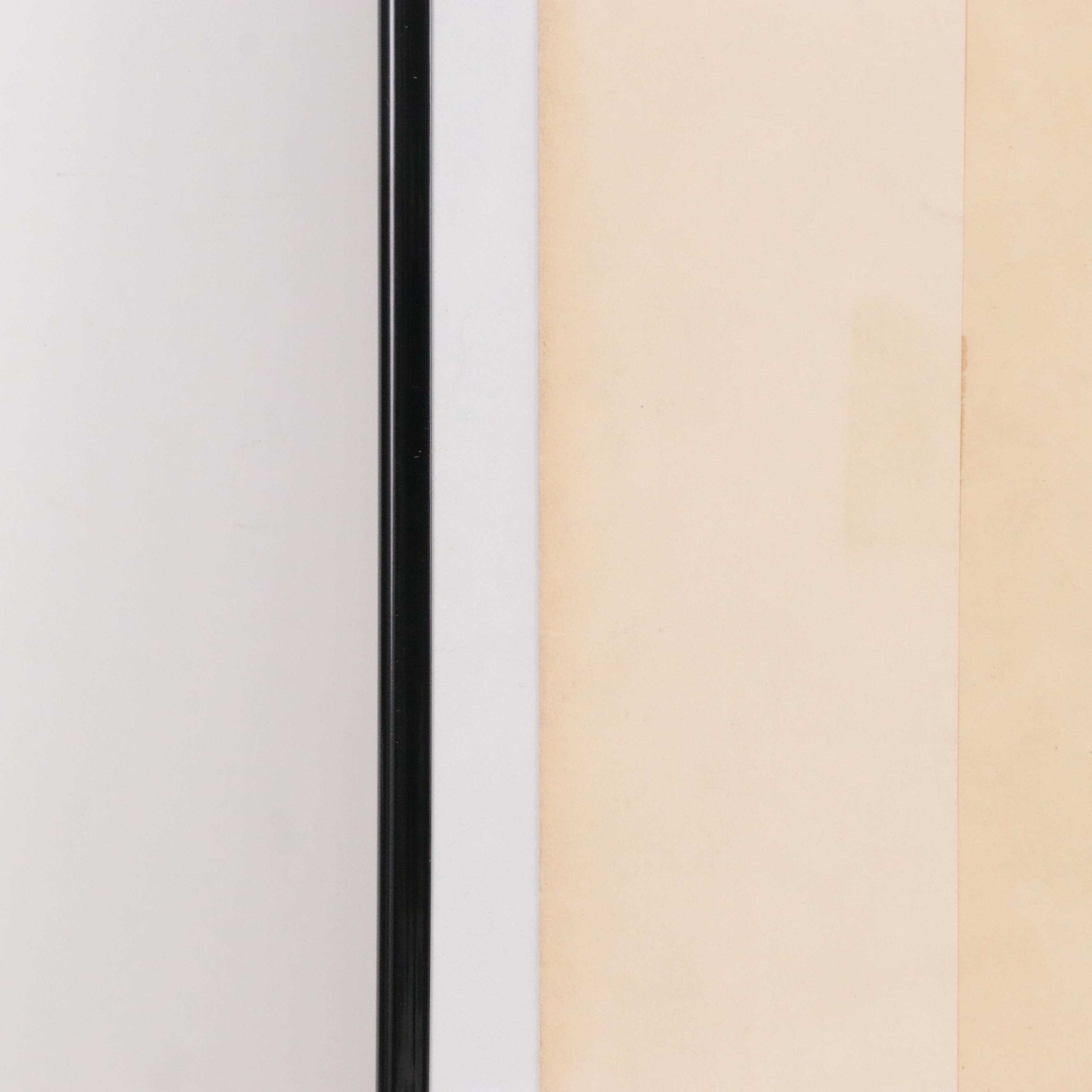 William Goodall Conchological Studies in Ink and Watercolor, Circa 1815