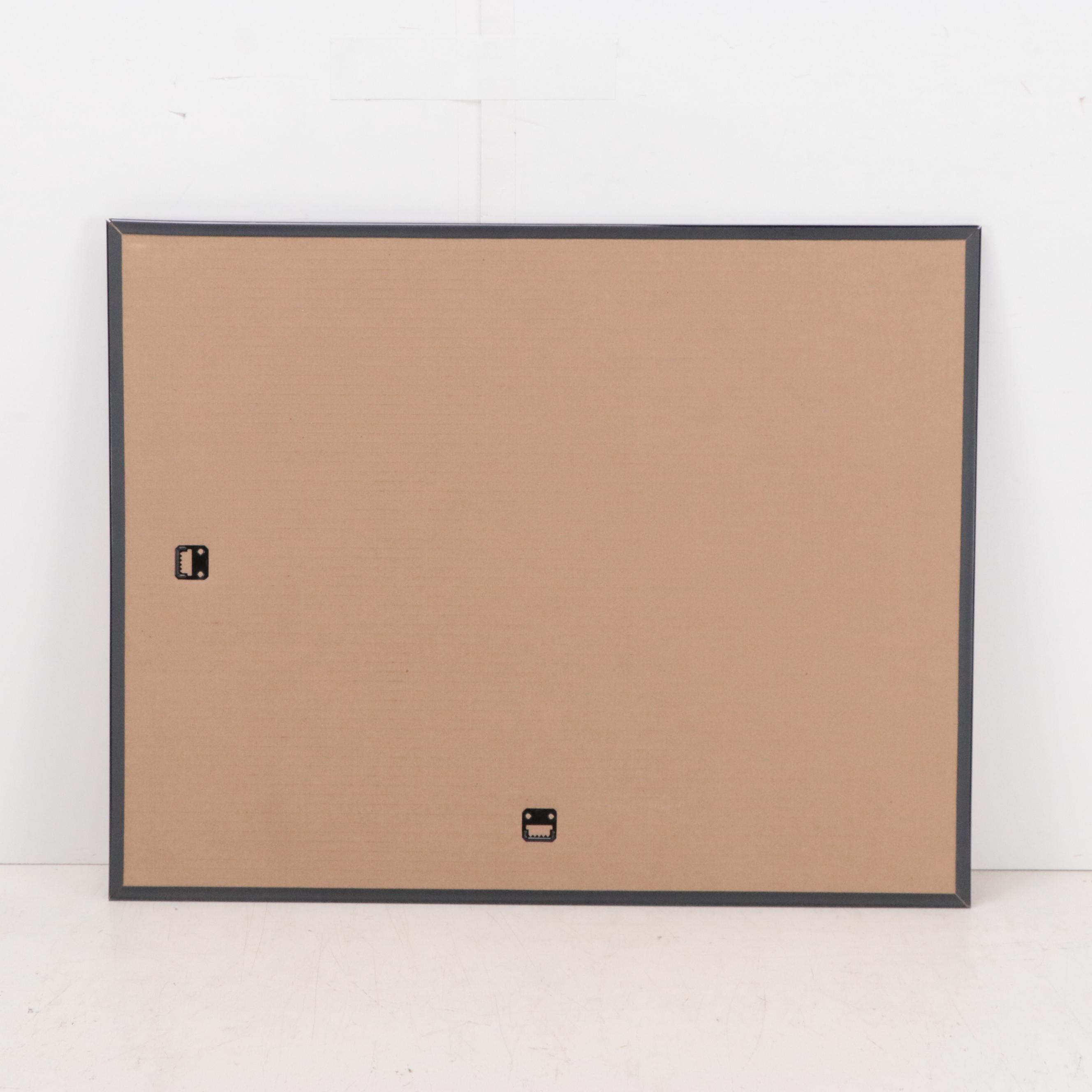 William Goodall Conchological Studies in Ink and Watercolor, Circa 1815