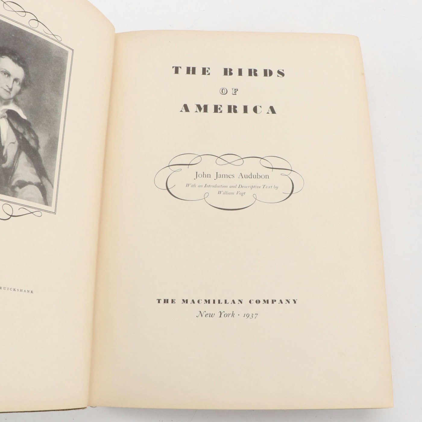 the birds of america john james audubon