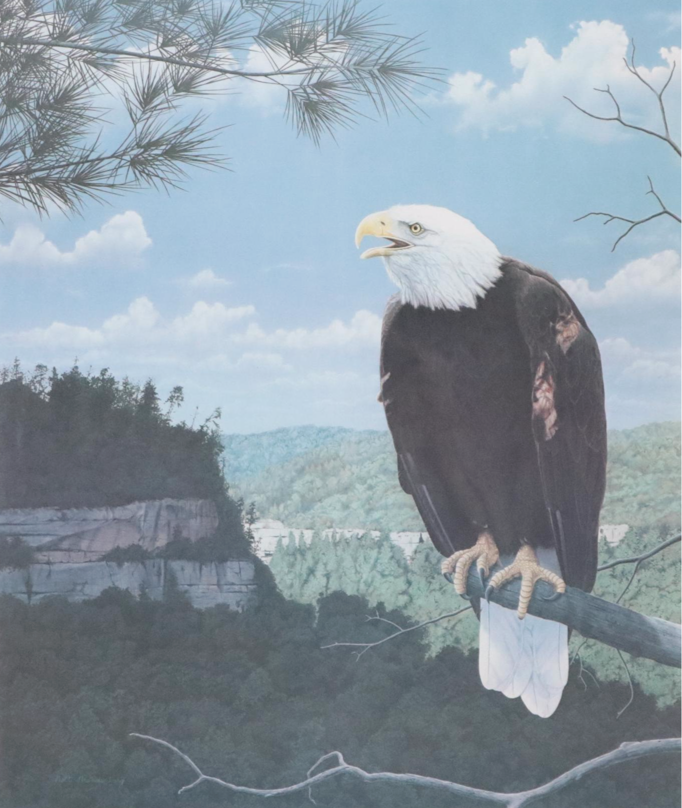 Robert Brandenburg Offset Lithograph "Bald Eagle," Late 20th Century