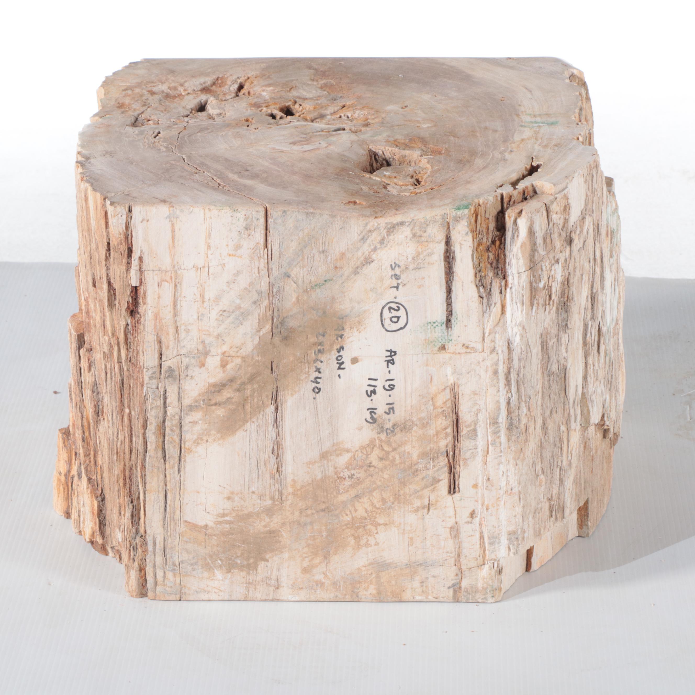 Blue Ocean Traders Petrified Wood Occasional Stool EBTH