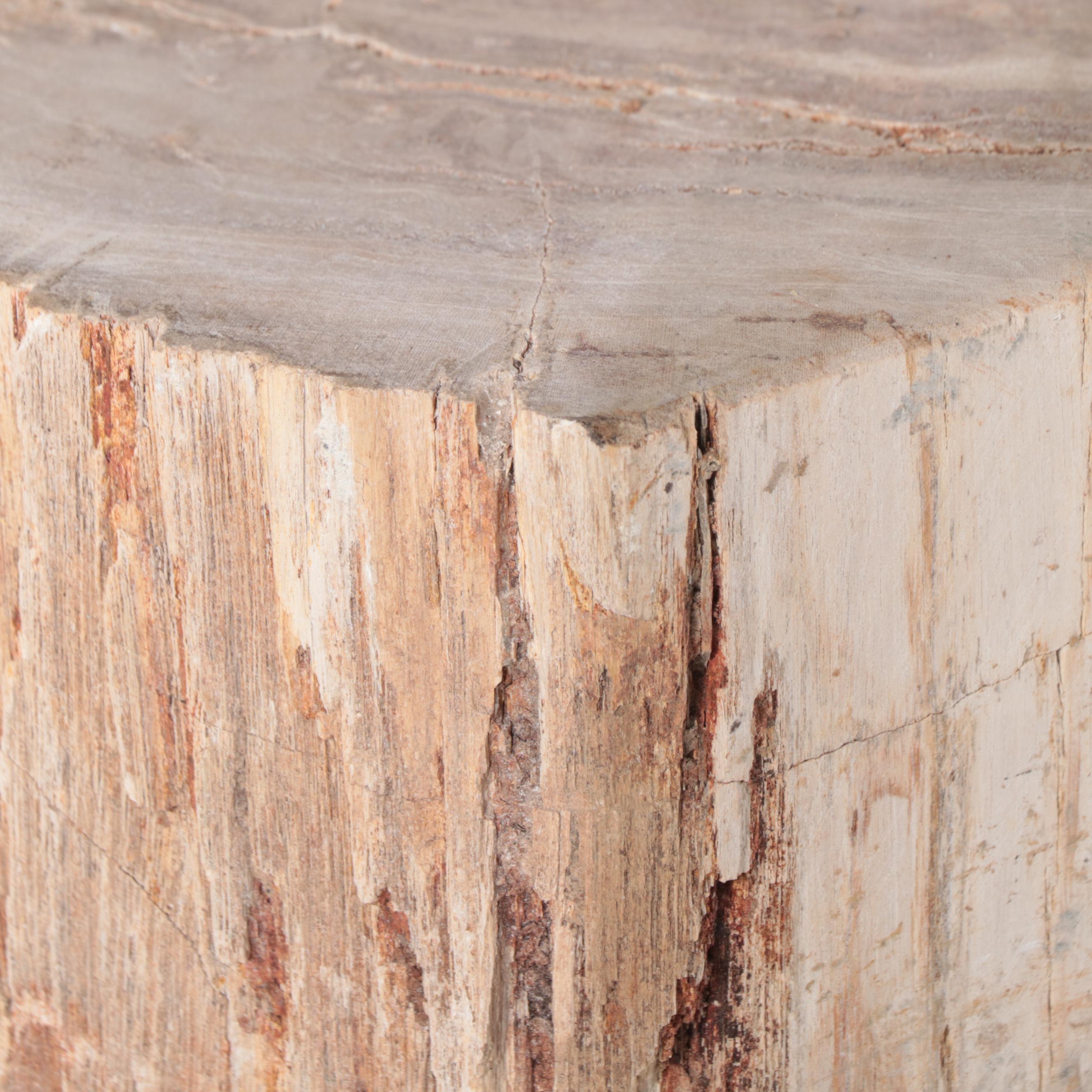 Blue Ocean Traders Petrified Wood Occasional Stool EBTH