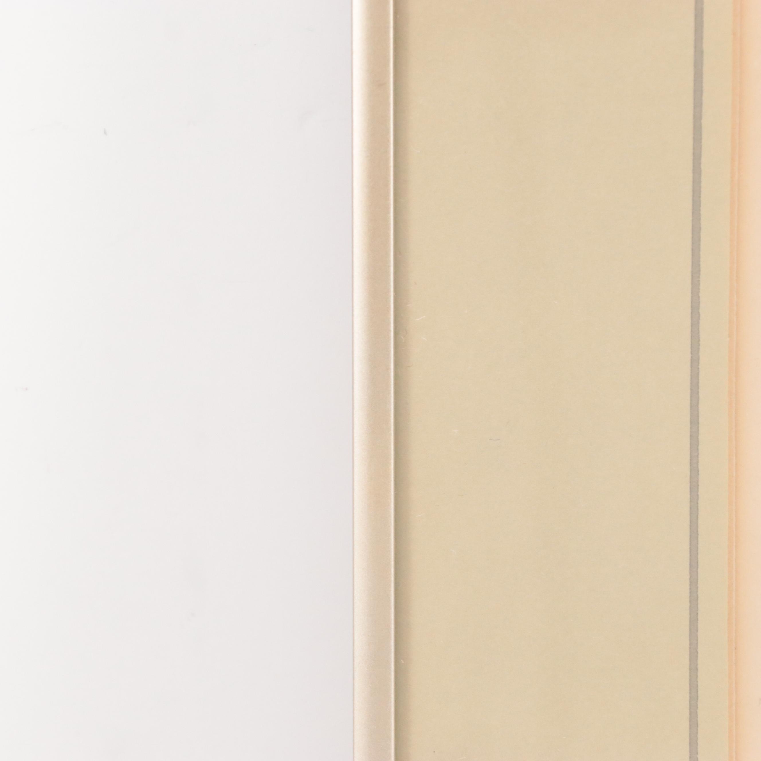 Lithograph Map "Plan of Cincinnati and Vicinity," 1860