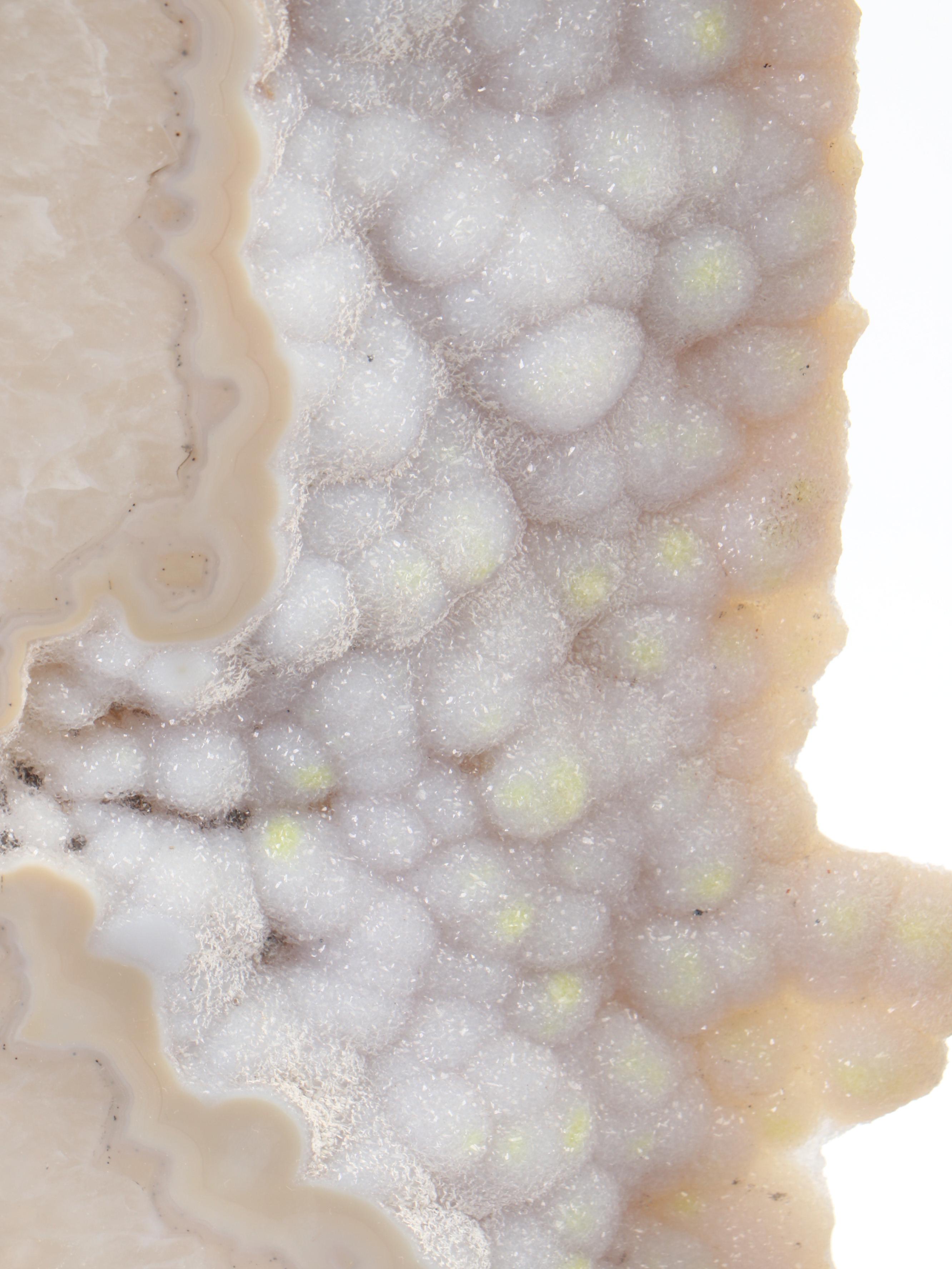 Geode Slab with Quartzite and Botryoidal Chalcedony with Stand