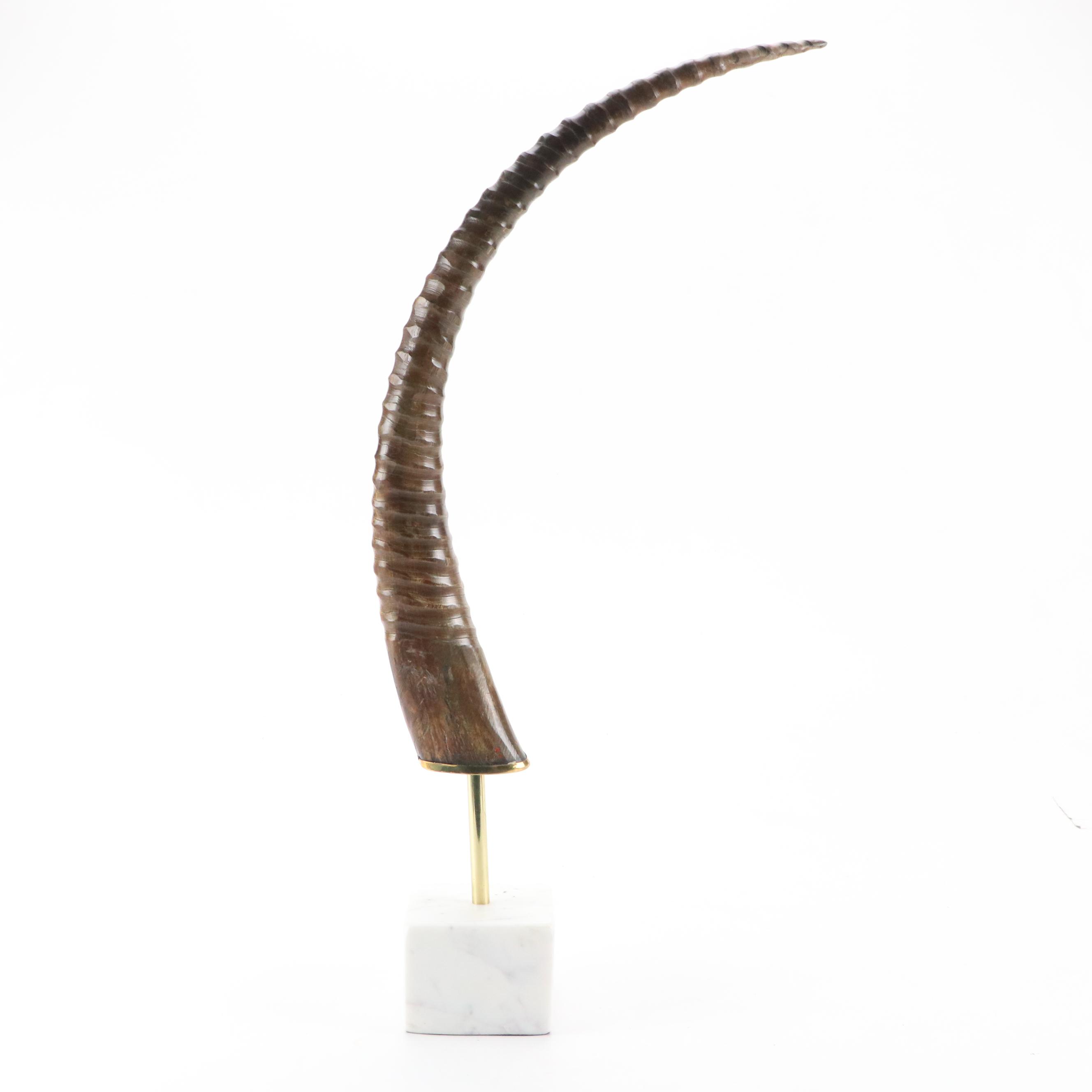 Modern African Oryx Antelope Horn Decorative Sculpture