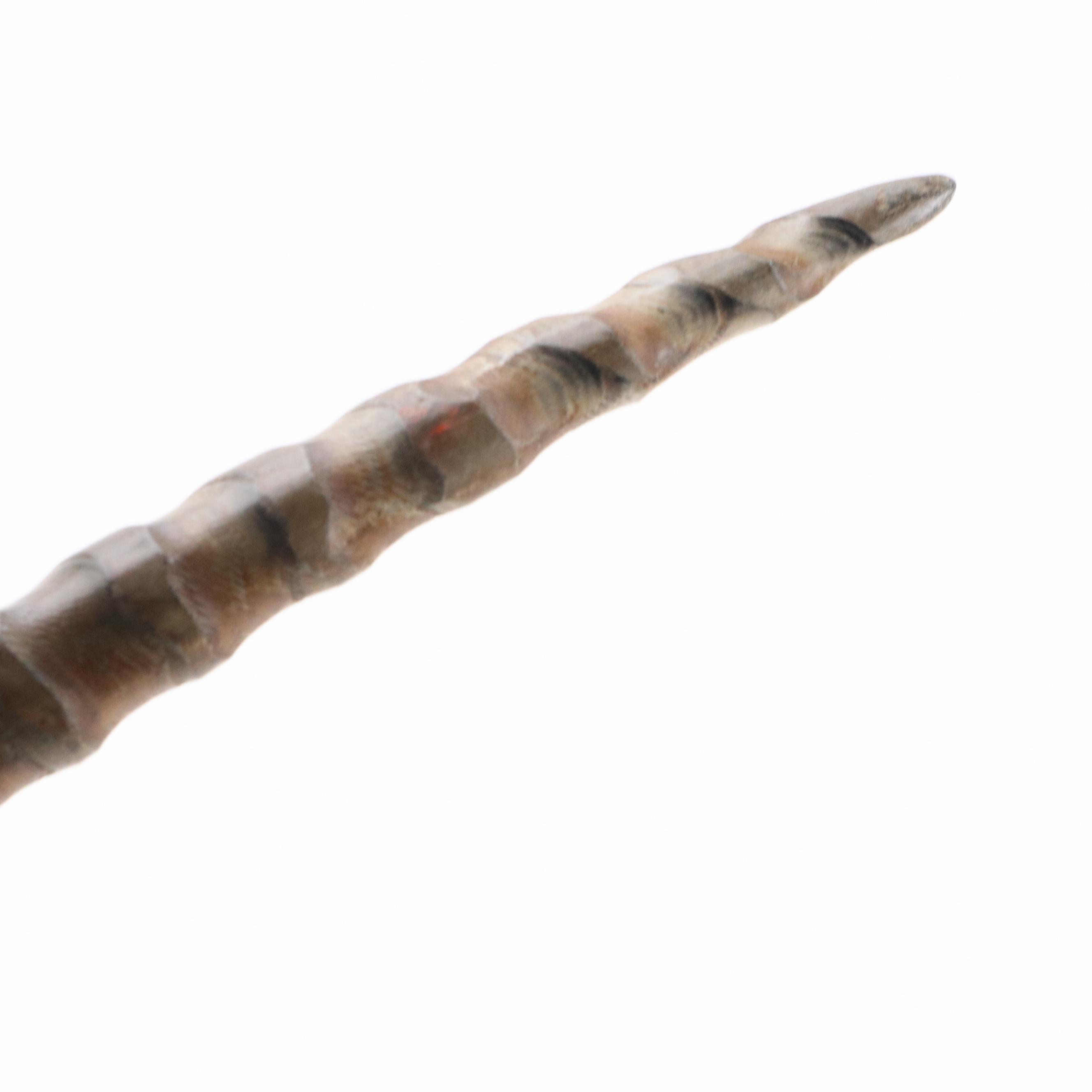 Modern African Oryx Antelope Horn Decorative Sculpture