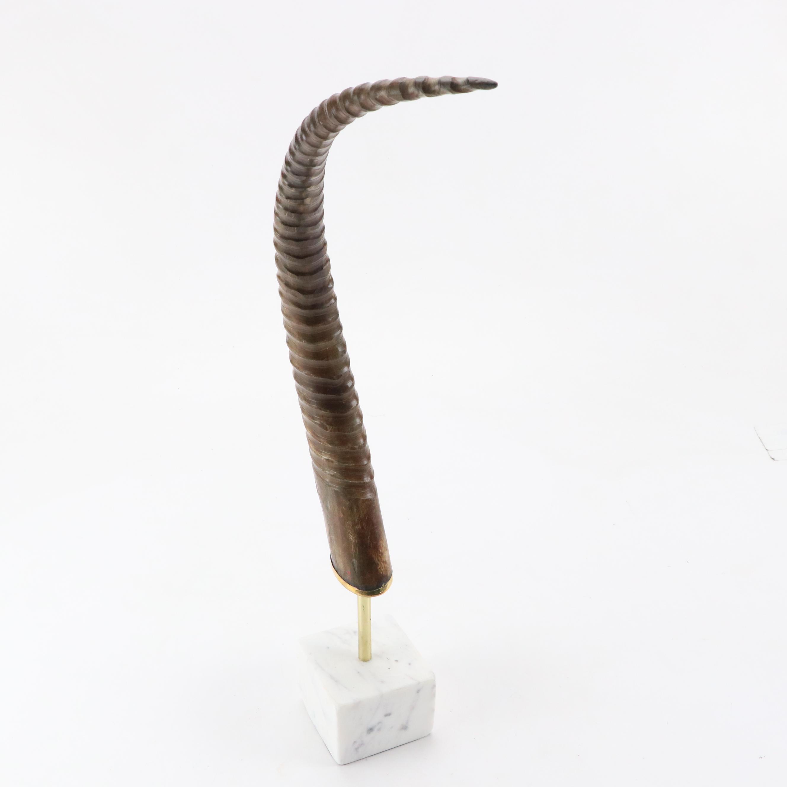 Modern African Oryx Antelope Horn Decorative Sculpture
