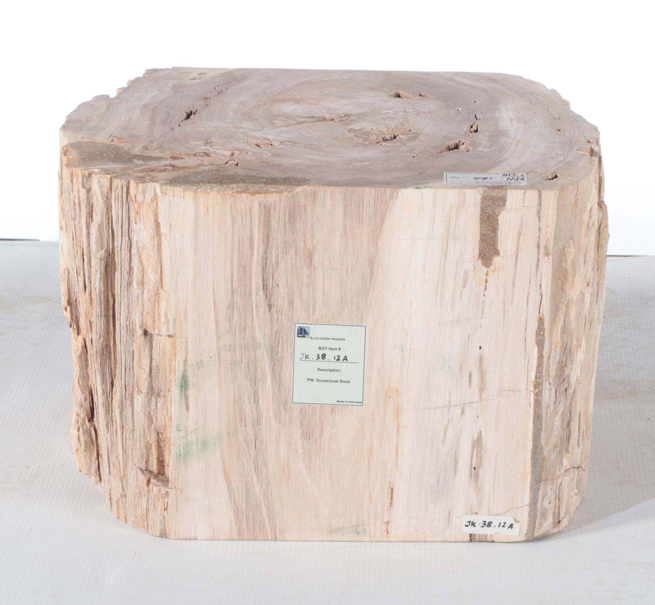 Petrified Wood Specimen