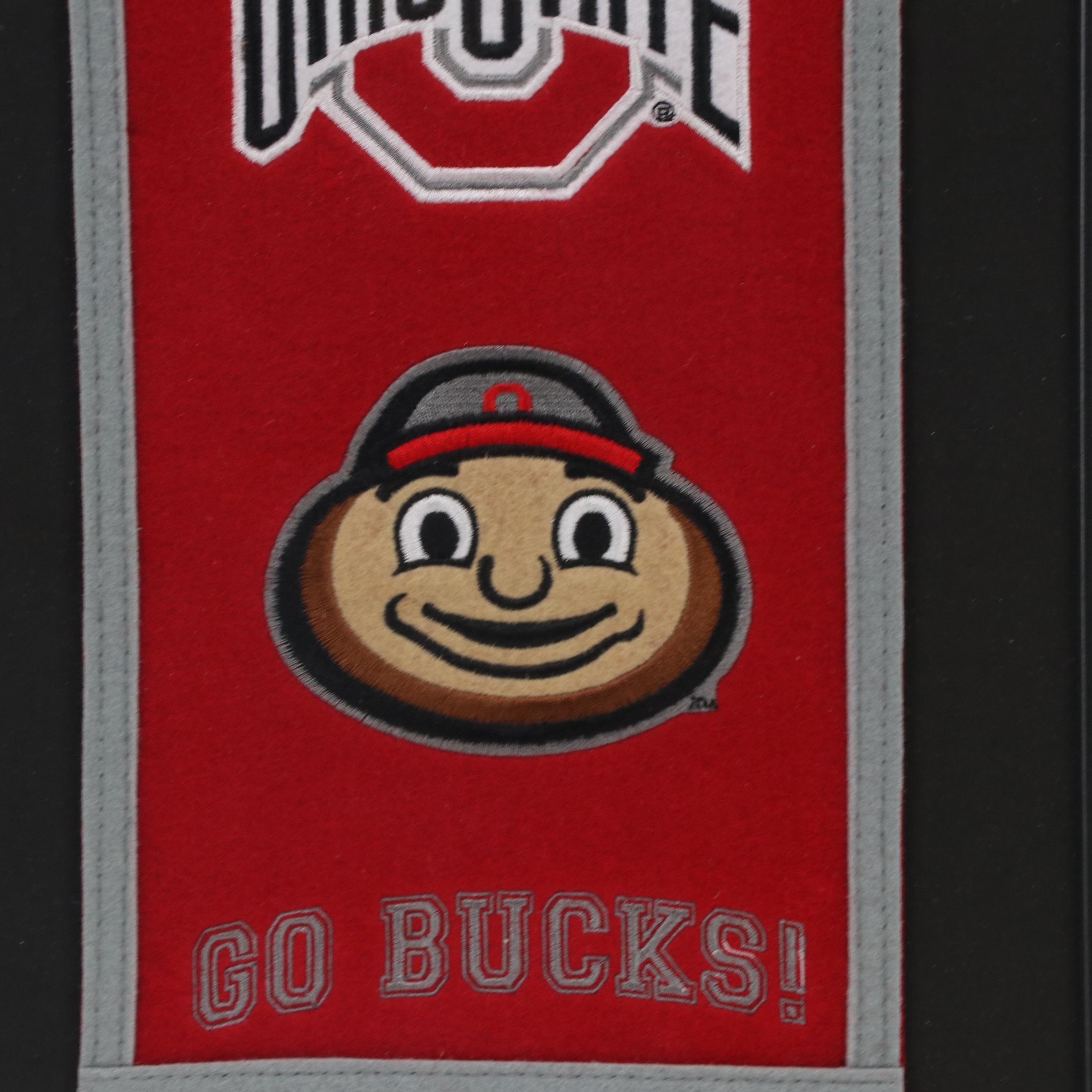 Ohio State University Felted Banner Wall Hanging