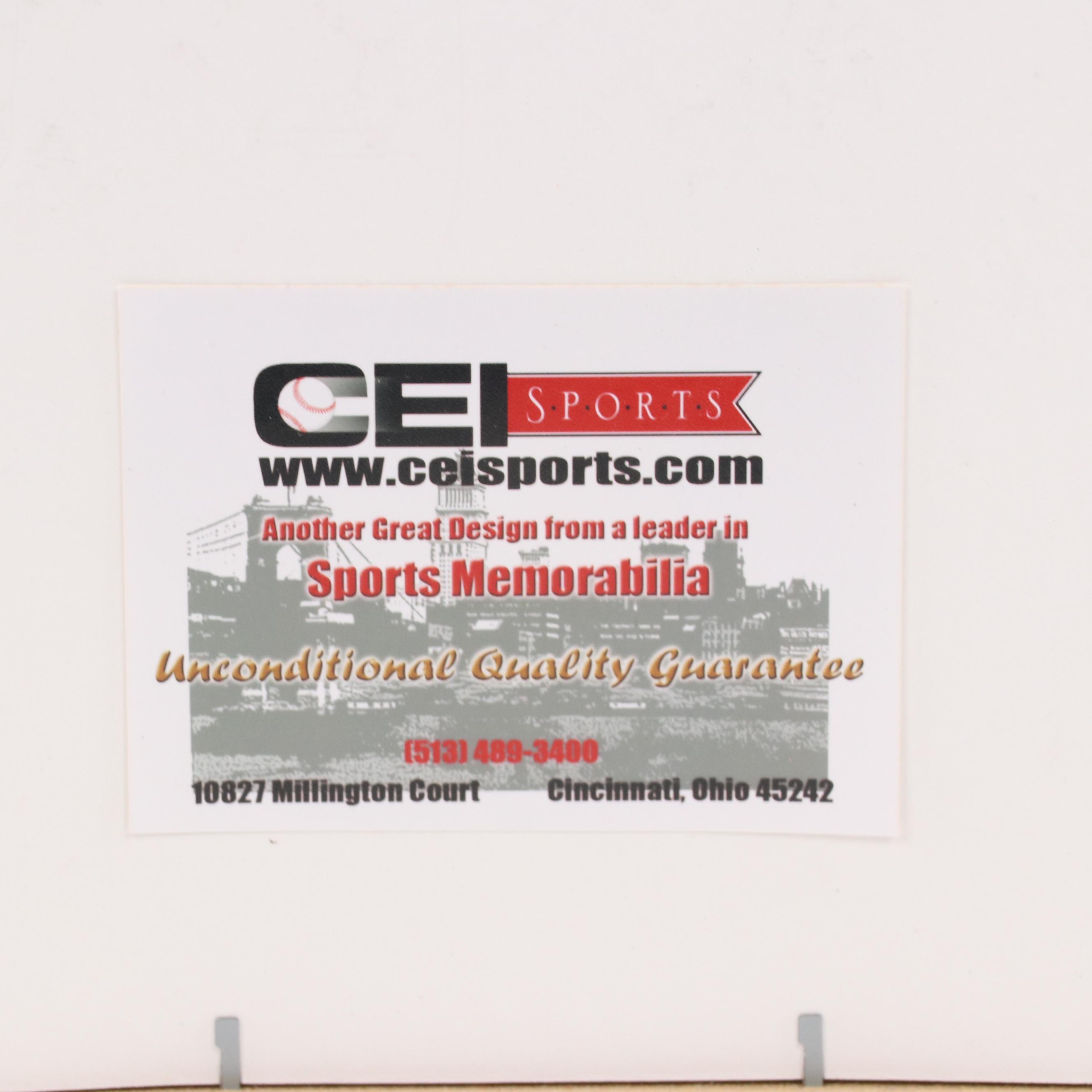 Ohio State University Felted Banner Wall Hanging