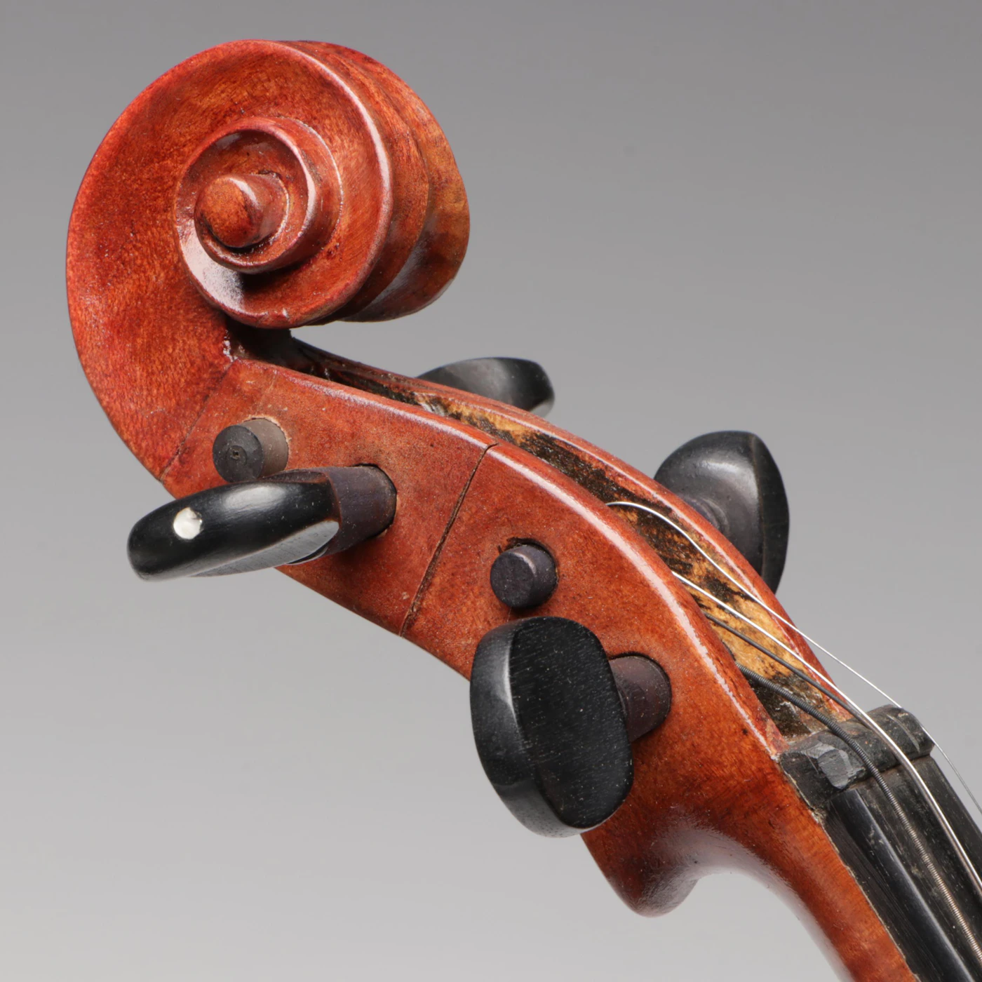Spruce and Curly Maple 4/4 Violin | EBTH