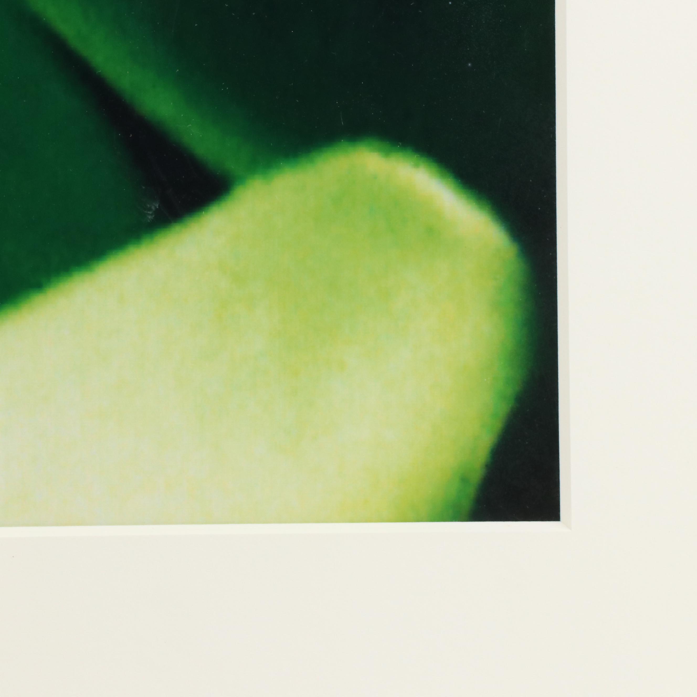 Martin Oppel Photograph of a Leaf