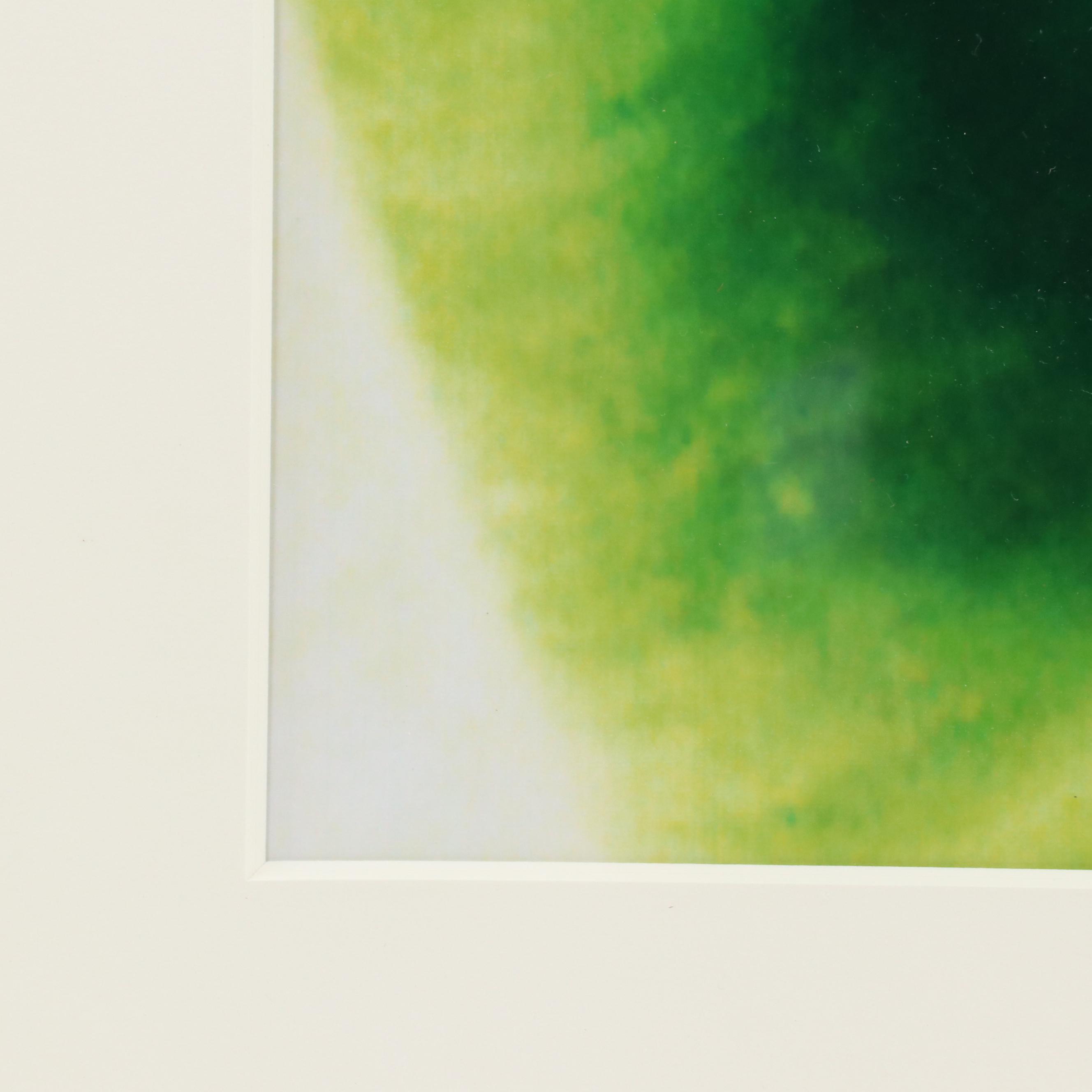 Martin Oppel Photograph of a Leaf