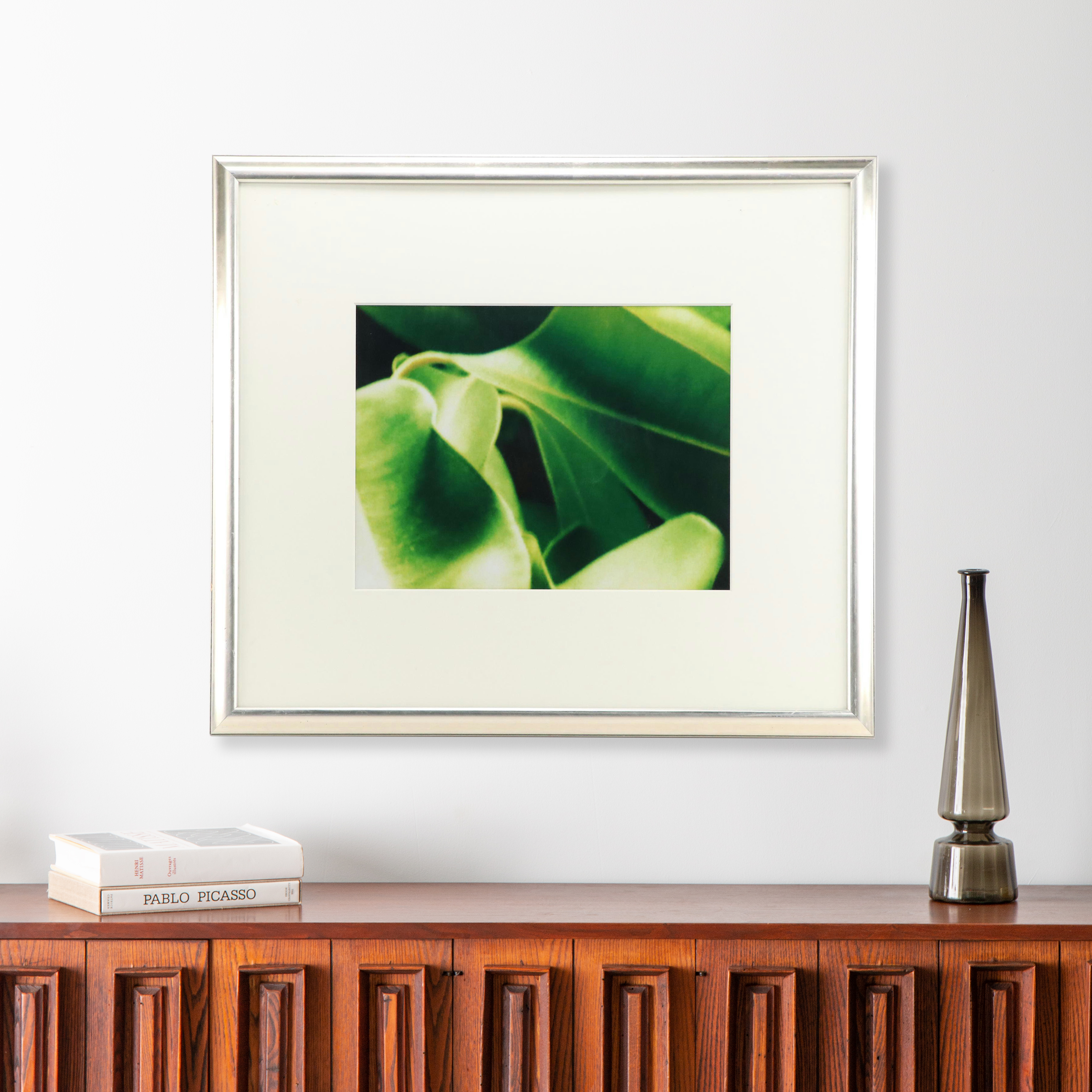 Martin Oppel Photograph of a Leaf