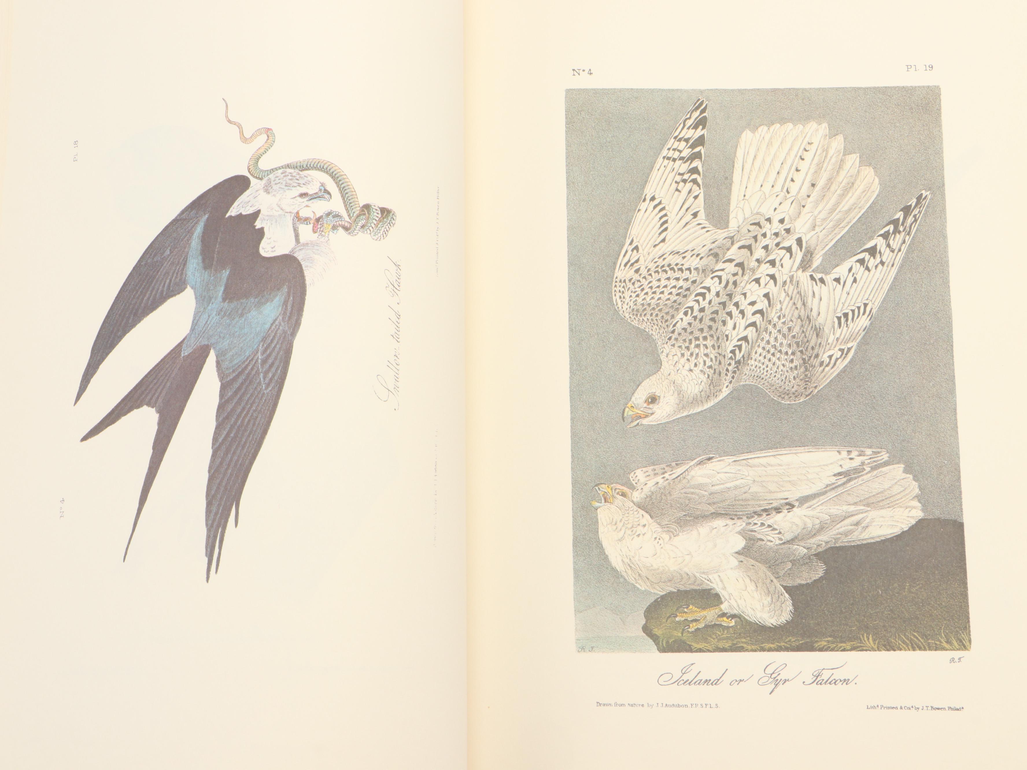 "The Art of Audubon: The Complete Birds and Animals" by John James Audubon, 1979