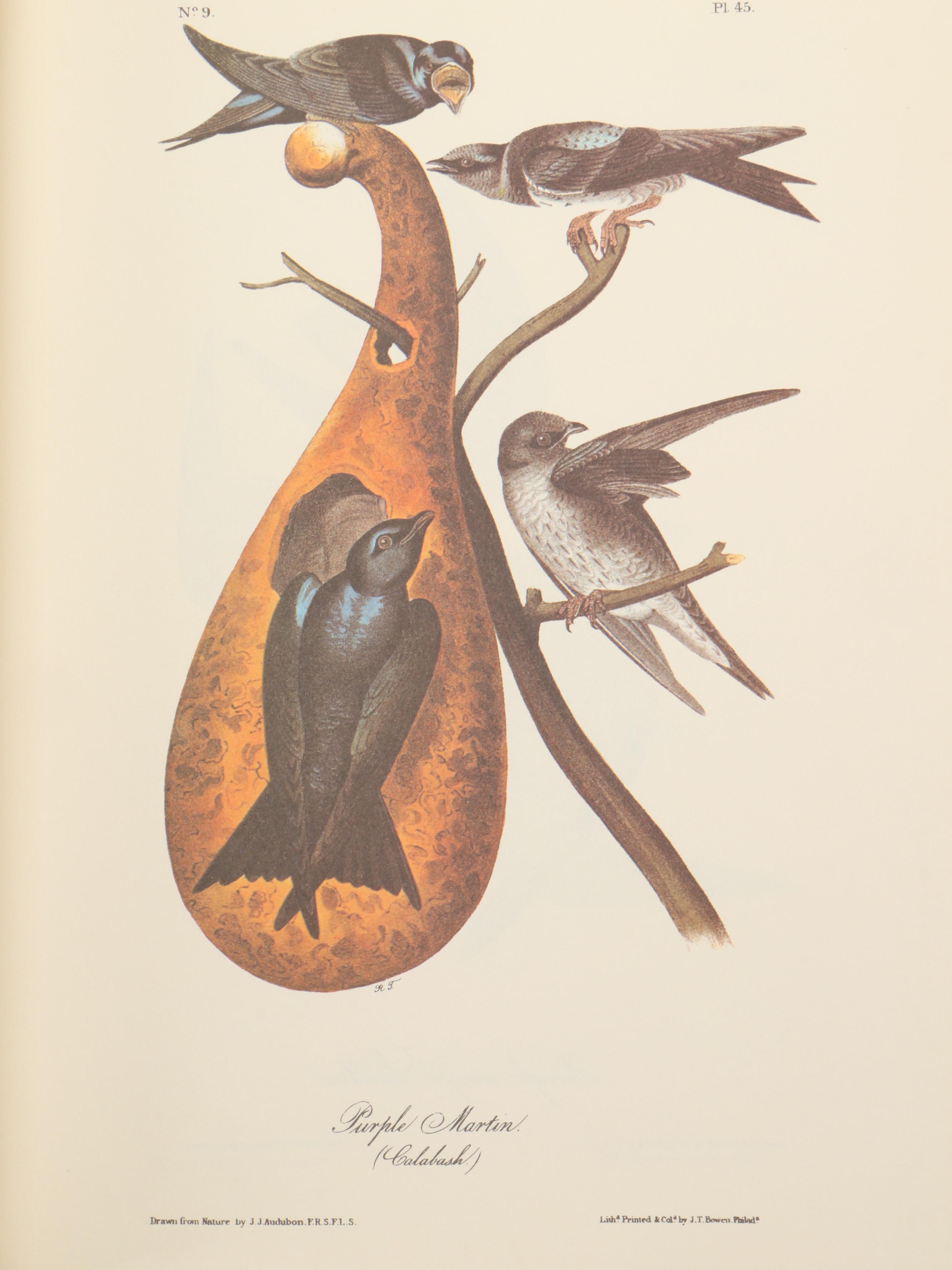 "The Art of Audubon: The Complete Birds and Animals" by John James Audubon, 1979
