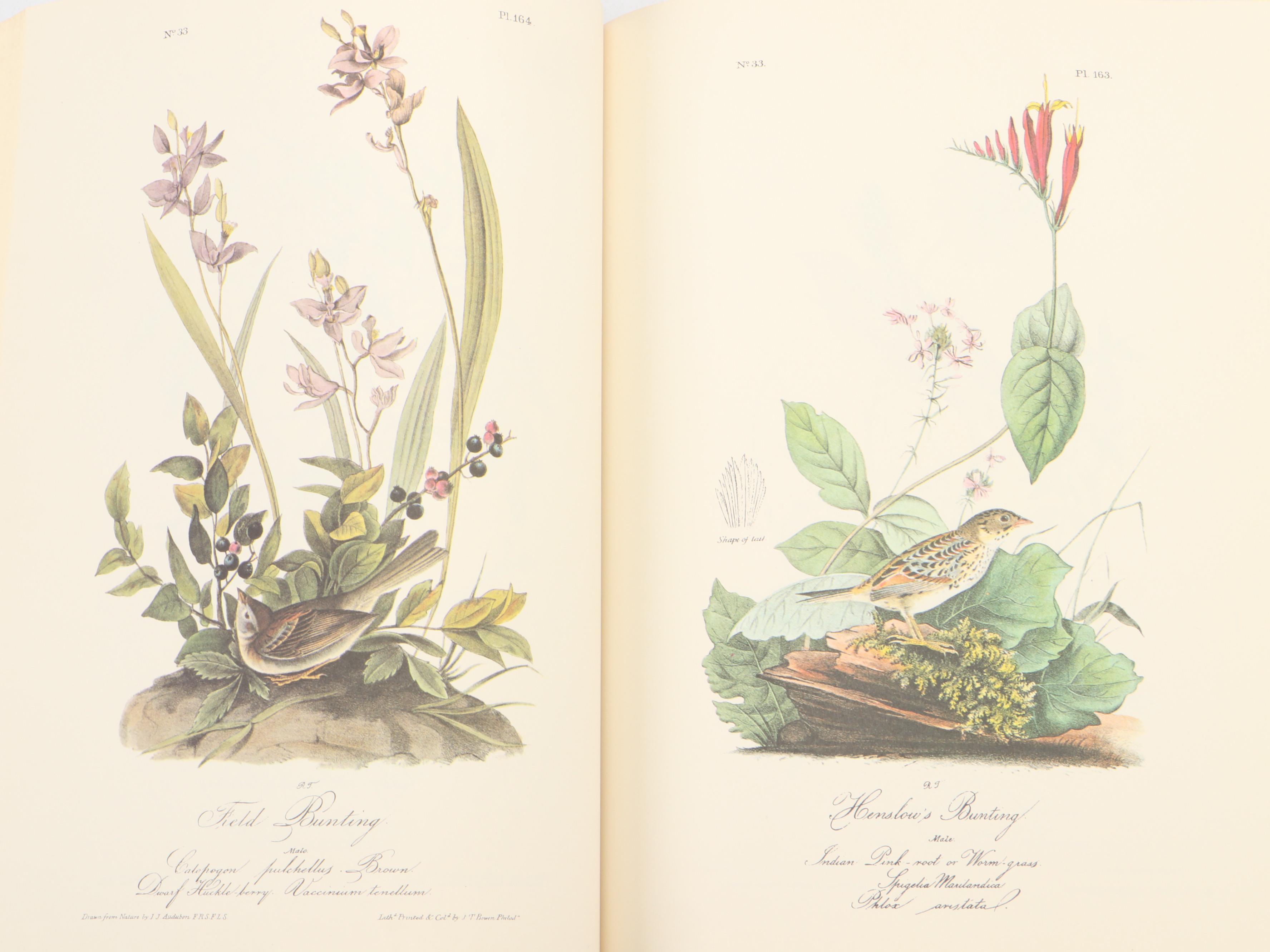 "The Art of Audubon: The Complete Birds and Animals" by John James Audubon, 1979