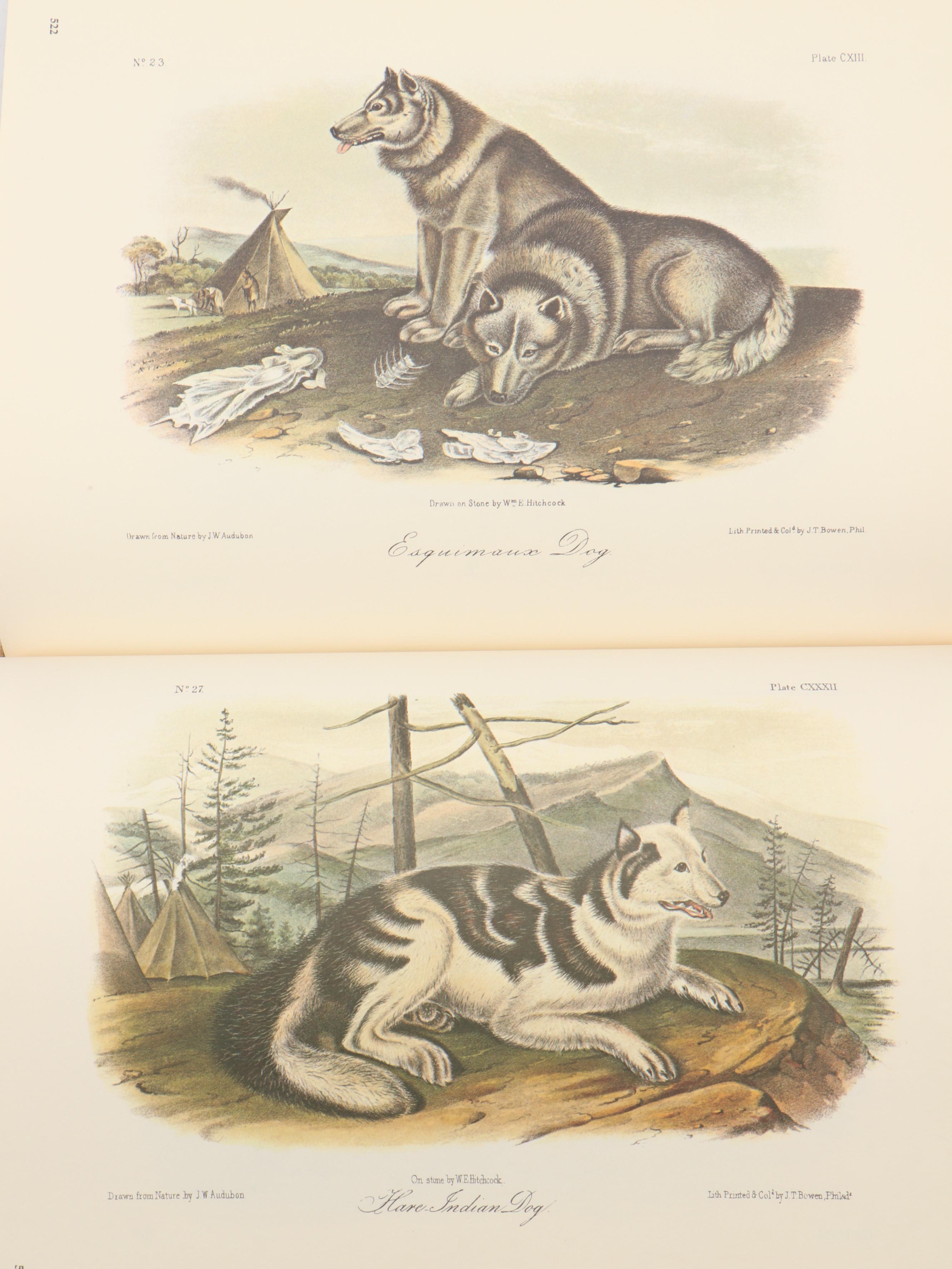 "The Art of Audubon: The Complete Birds and Animals" by John James Audubon, 1979