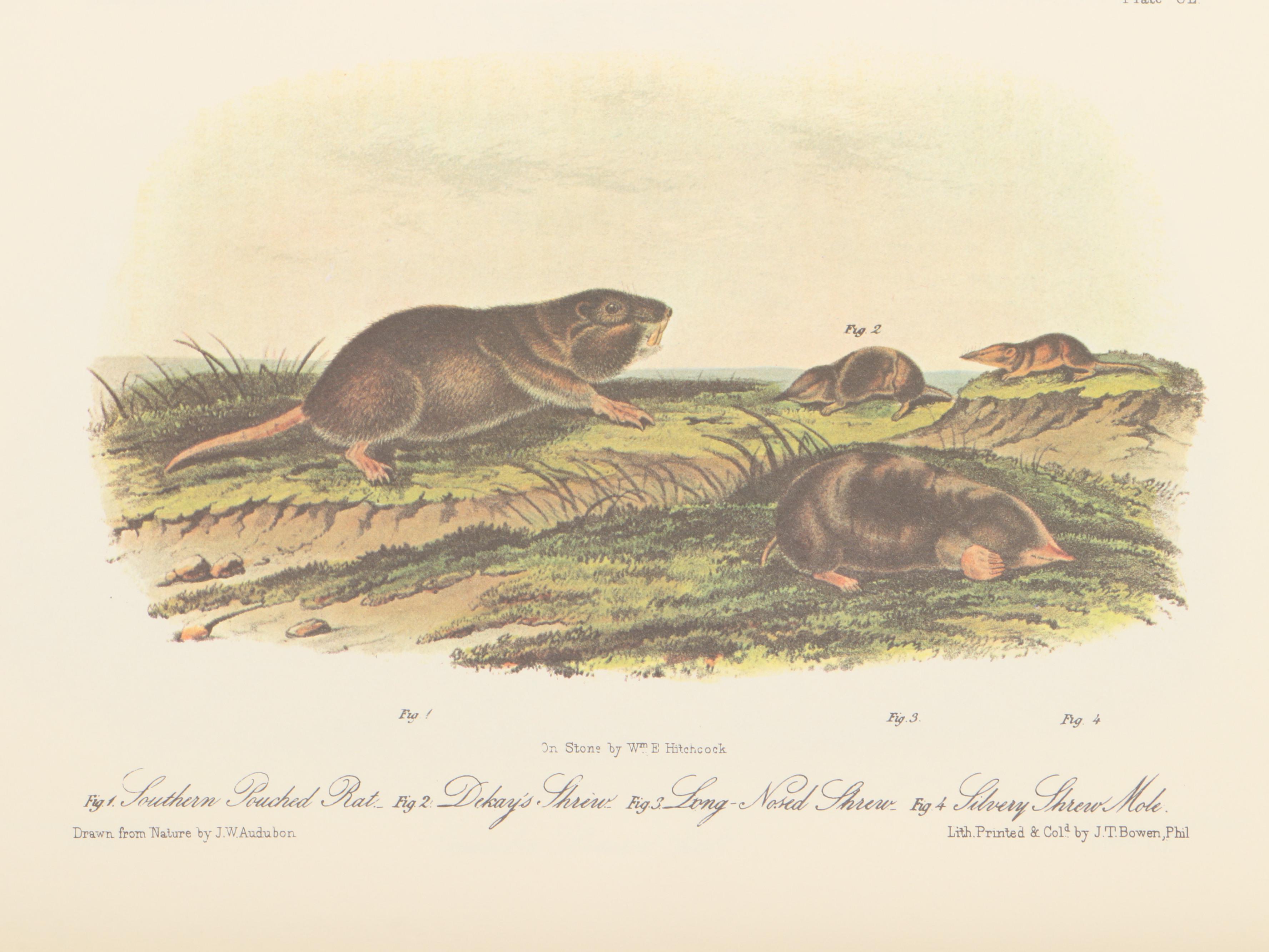 "The Art of Audubon: The Complete Birds and Animals" by John James Audubon, 1979