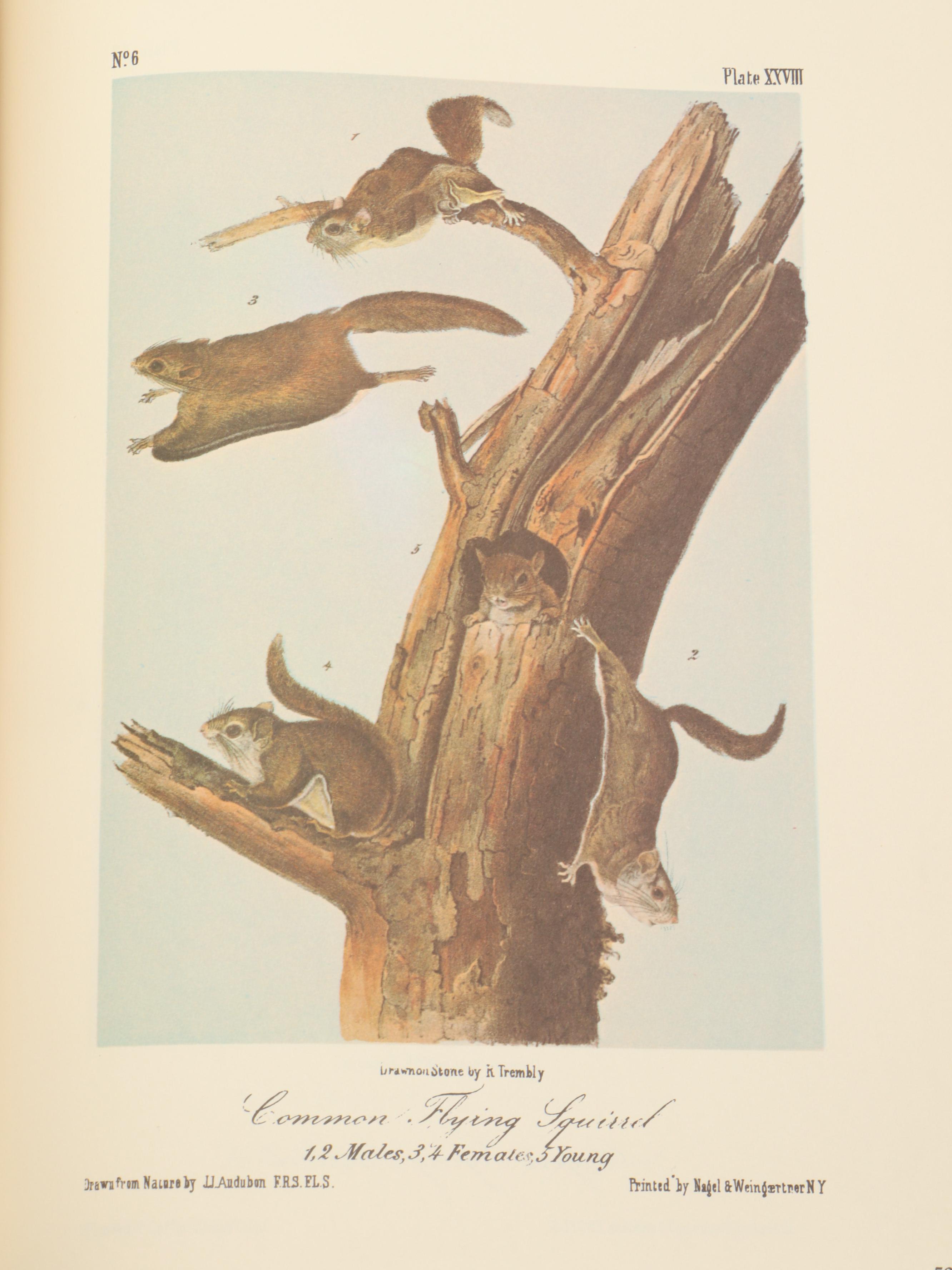 "The Art of Audubon: The Complete Birds and Animals" by John James Audubon, 1979
