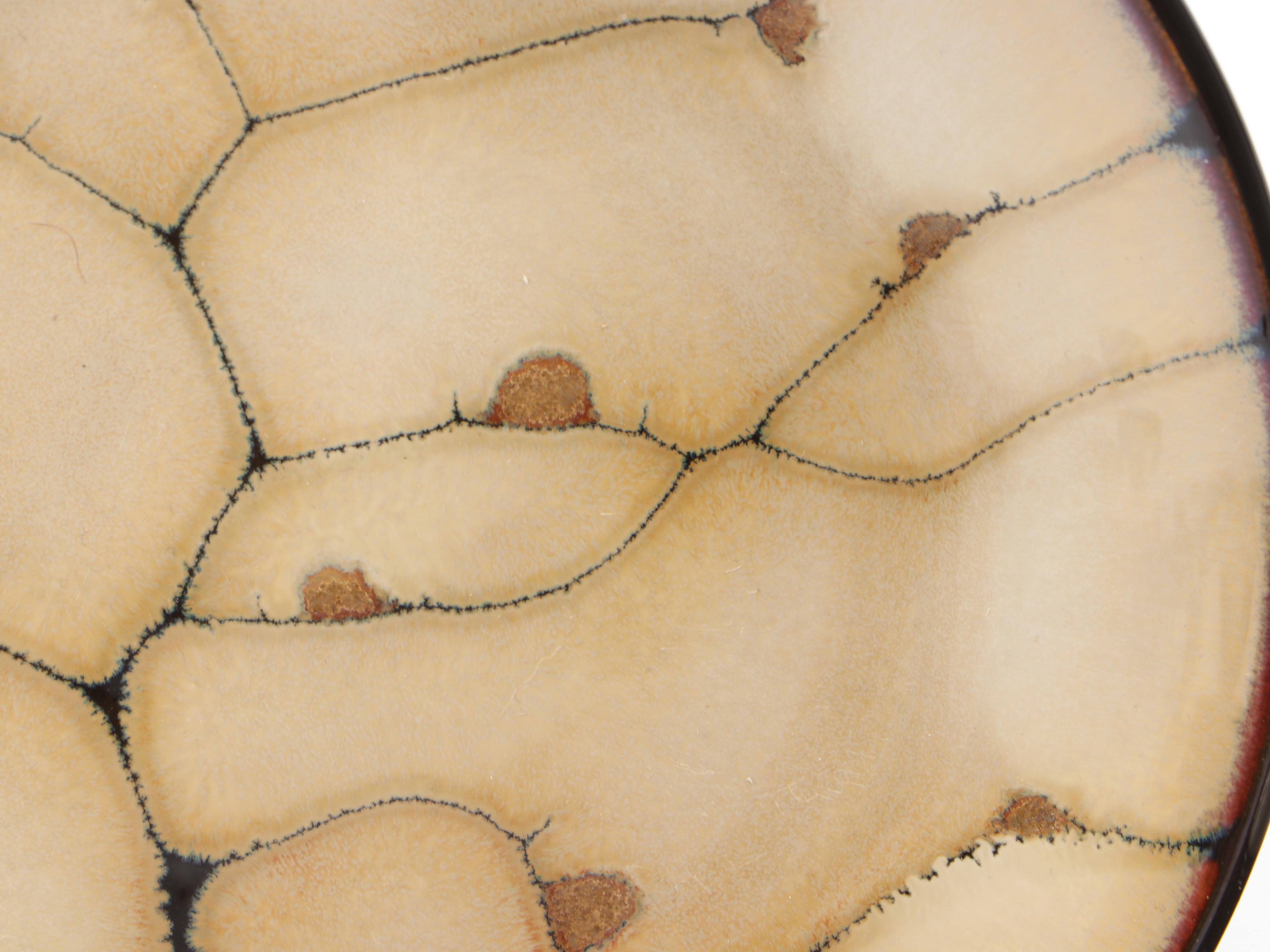 Gourmet Basics by Mikasa "Andria" Stoneware Dinnerware