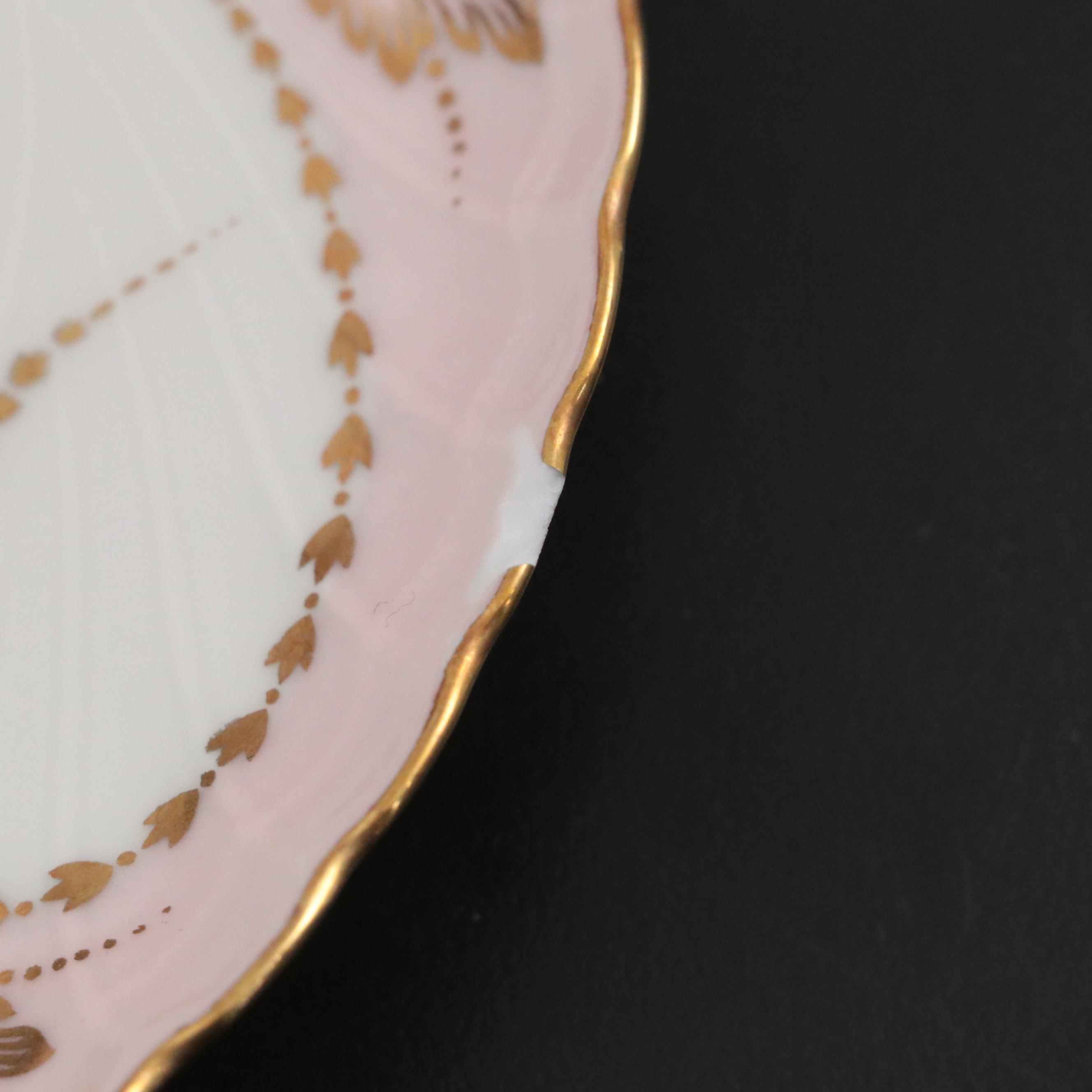 Royal Tettau "Yvonne Pink" Porcelain Dinnerware and Soft Storage Containers