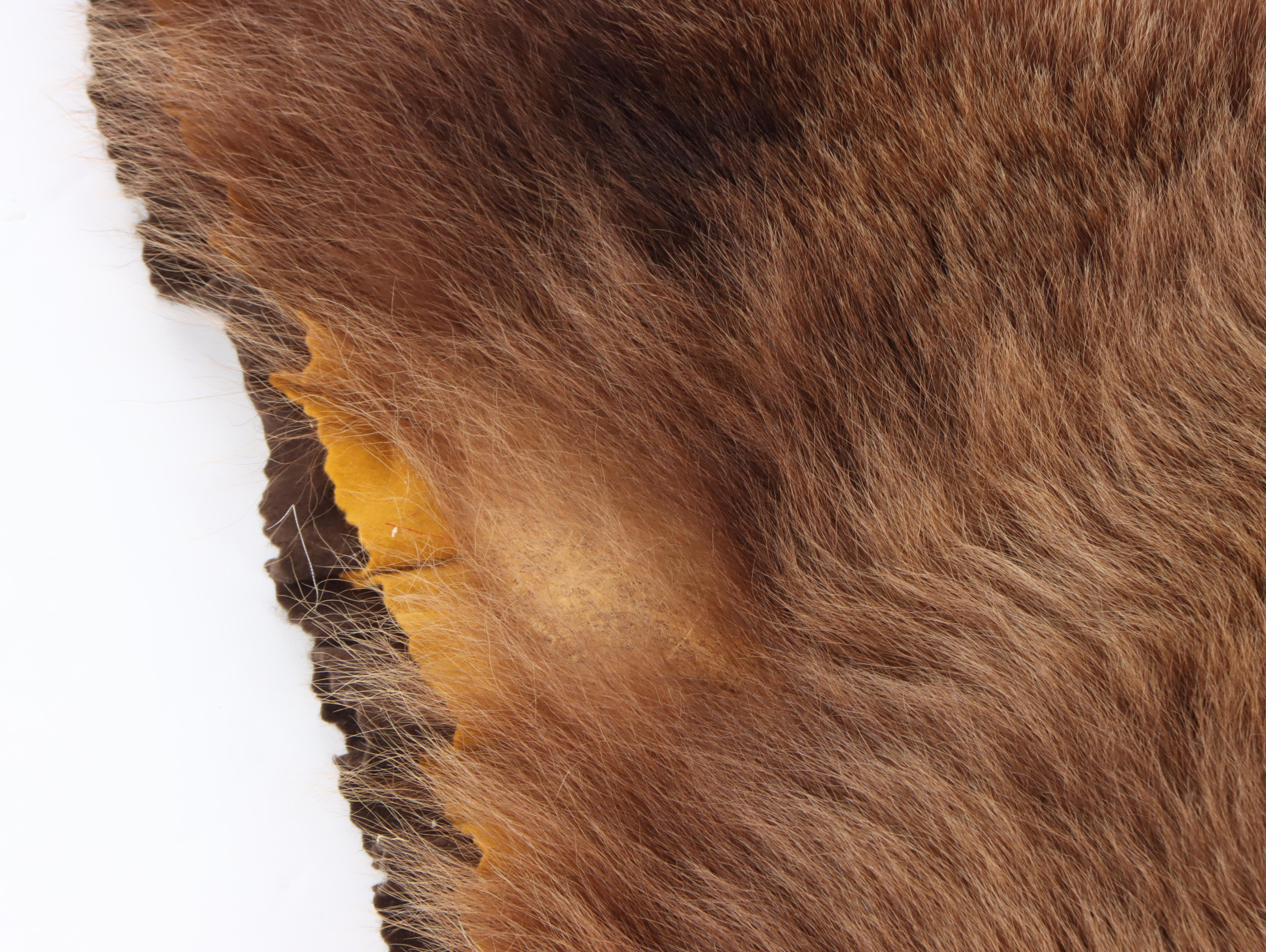 Taxidermy Brown Morph Black Bear Full Body Rug