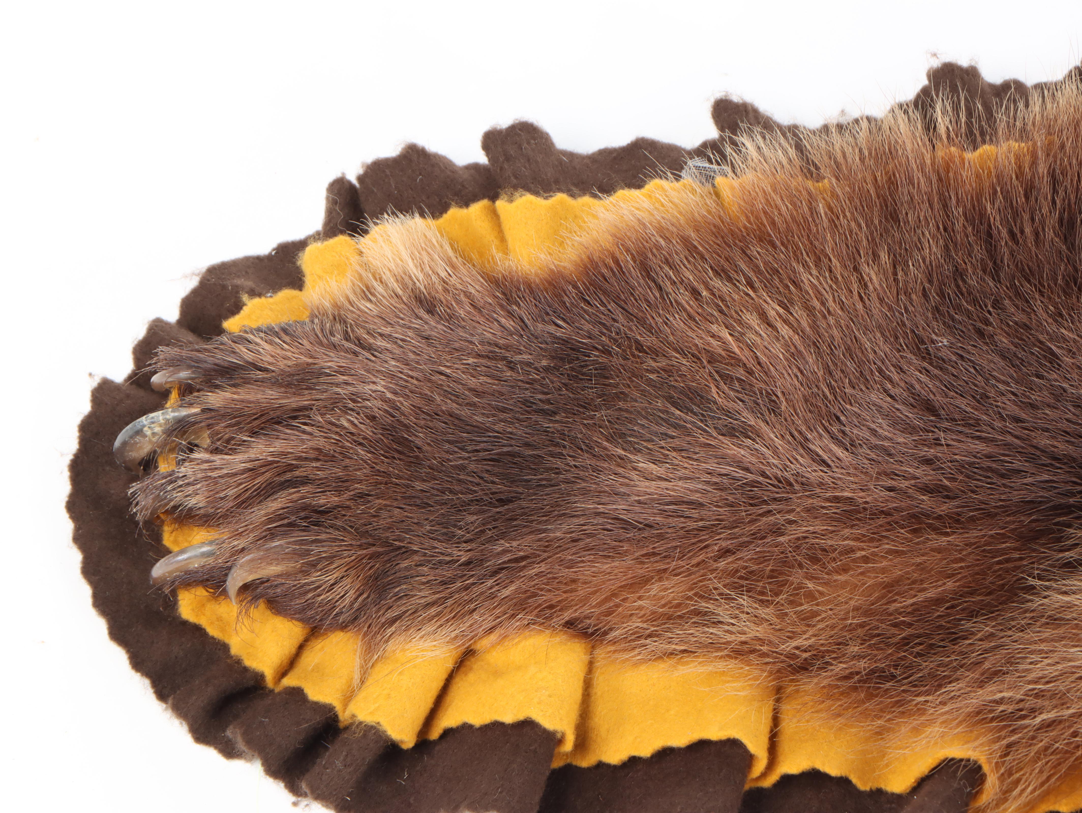 Taxidermy Brown Morph Black Bear Full Body Rug