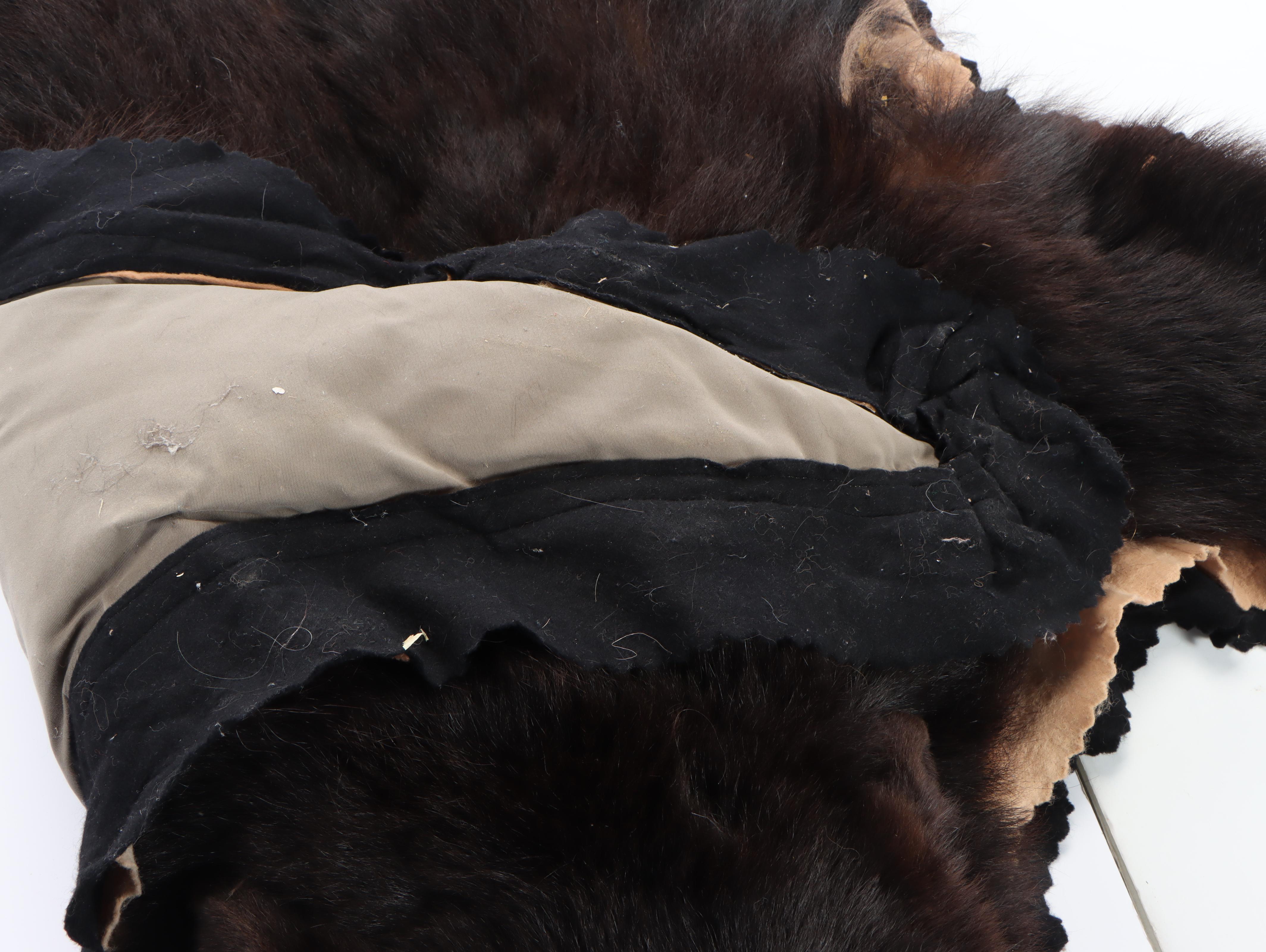 Taxidermy Black Bear Full Body Rug