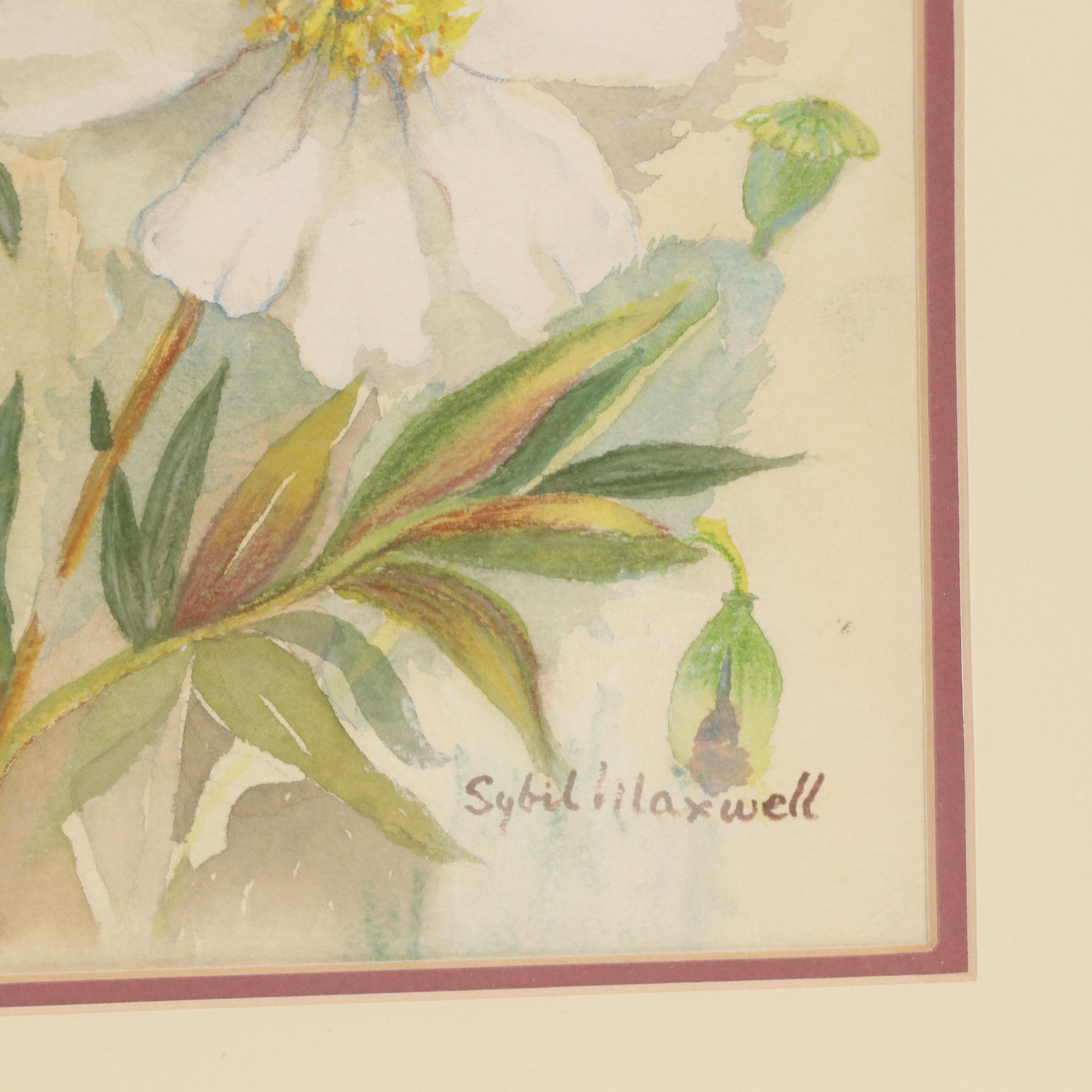 Sybil Maxwell Watercolor Painting of Peonies